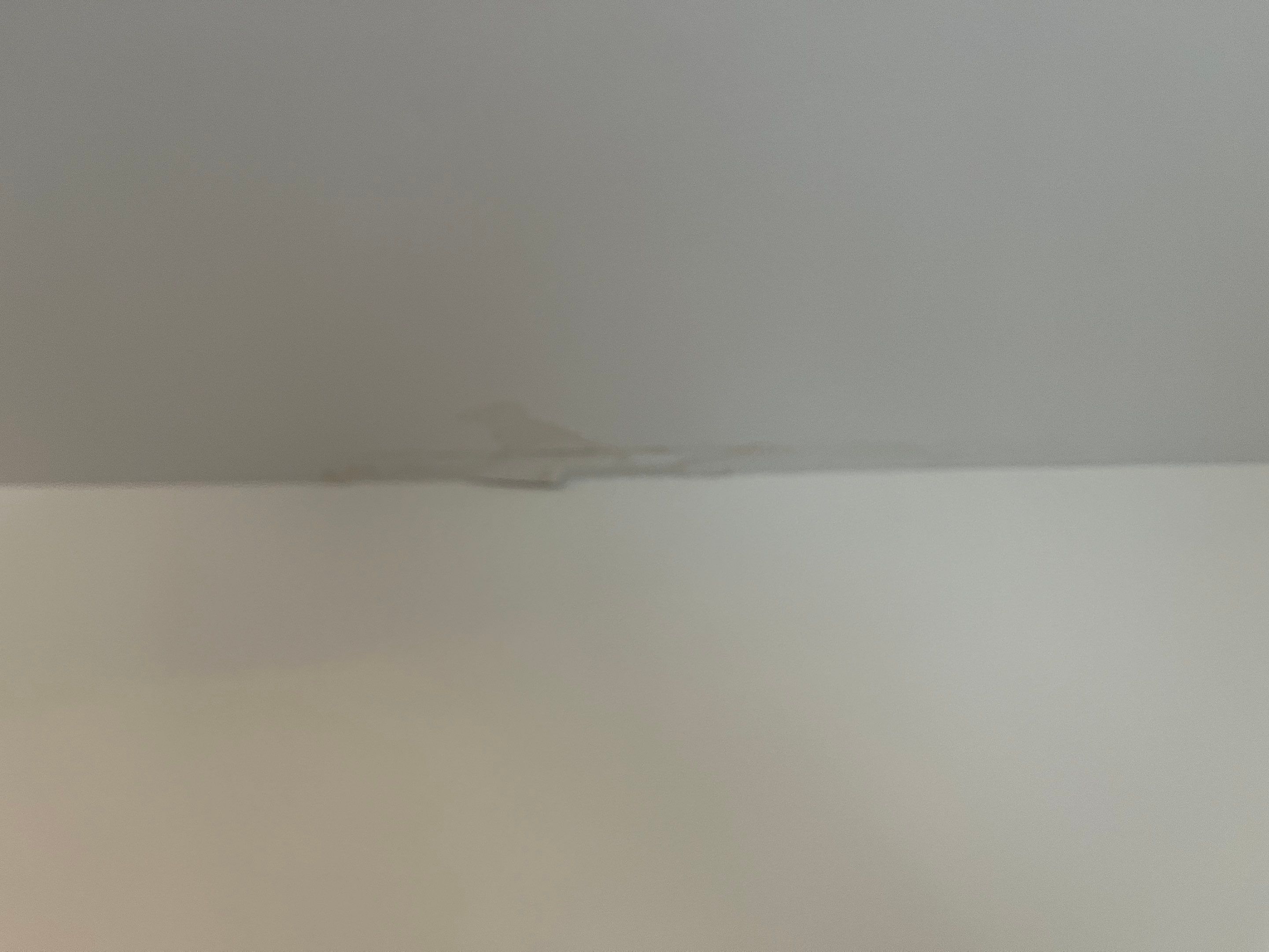 Mold Remediation and Repairs in Louisville, KY by ANR Restoration