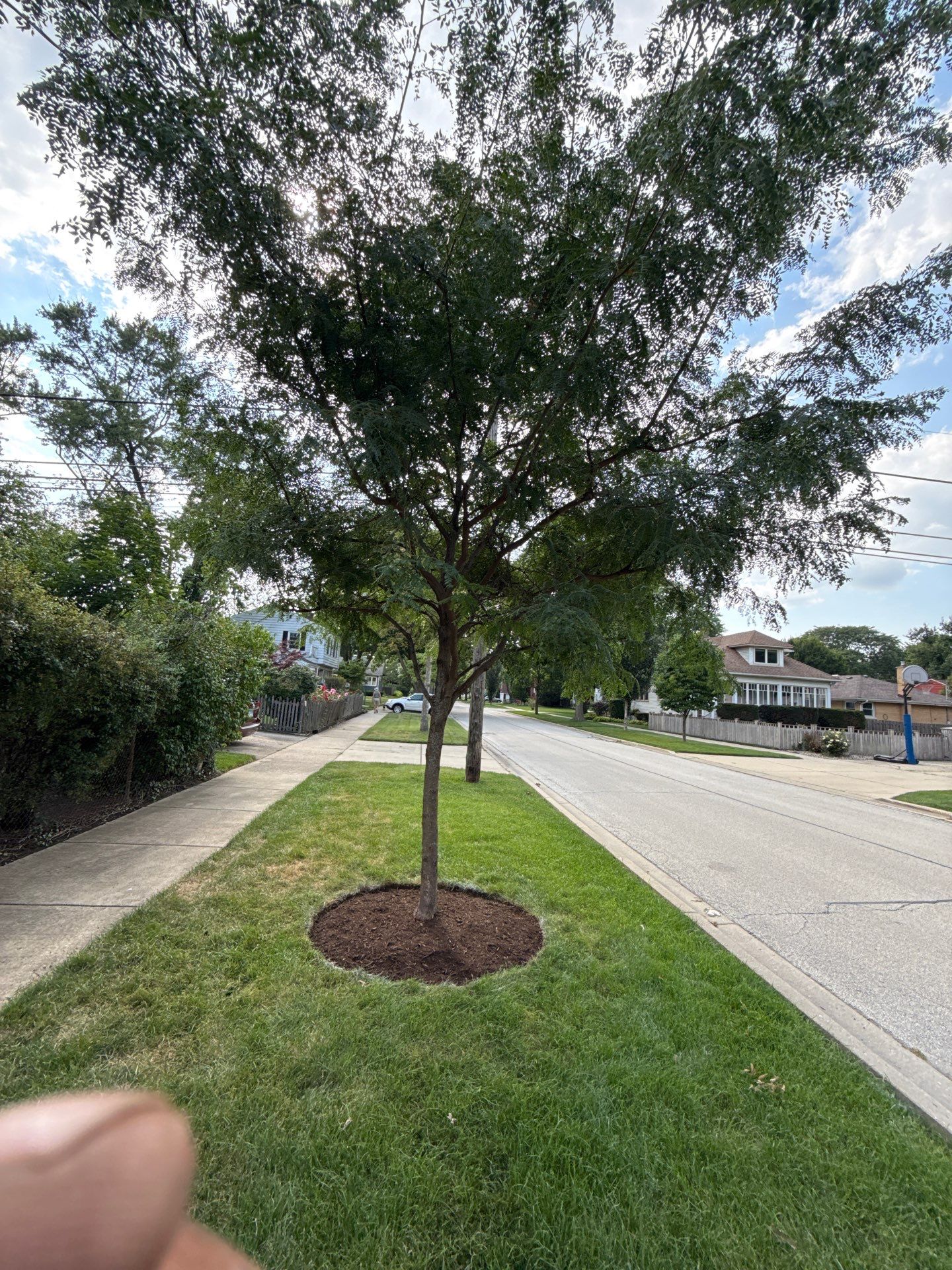 Chris S. - Mount Prospect, IL by A&N