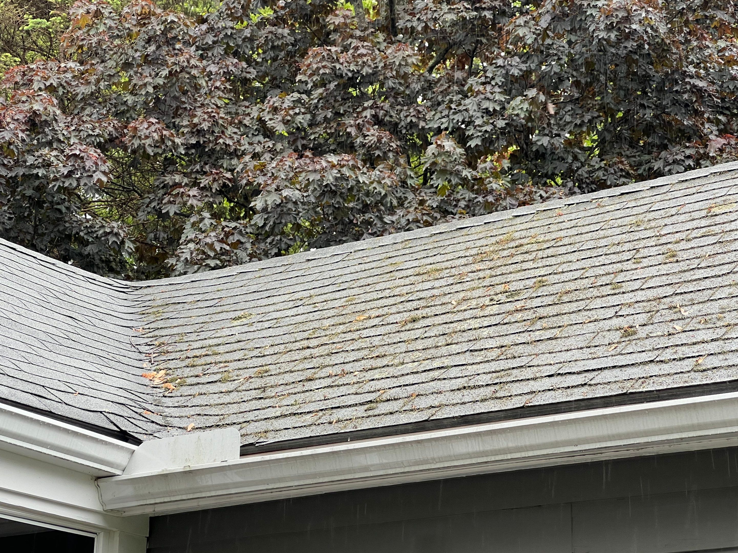 Project in Littleton, MA by Mighty Dog Roofing of Greater Middlesex County