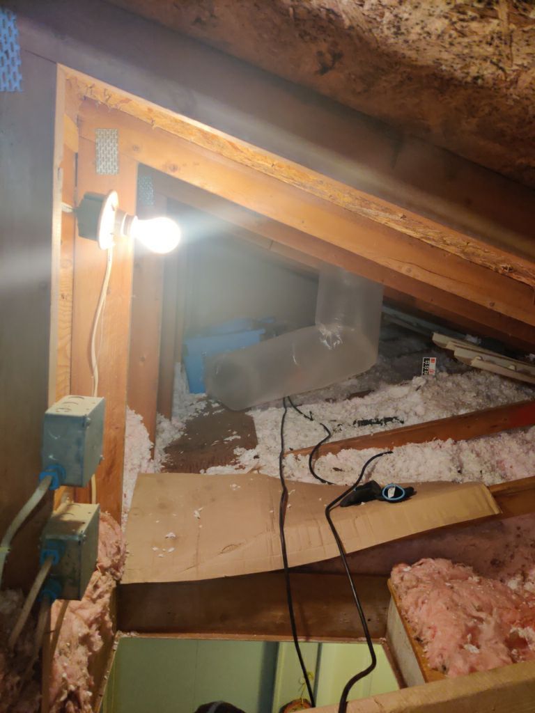 Mold Remediation in Attic by Accountable Home Services
