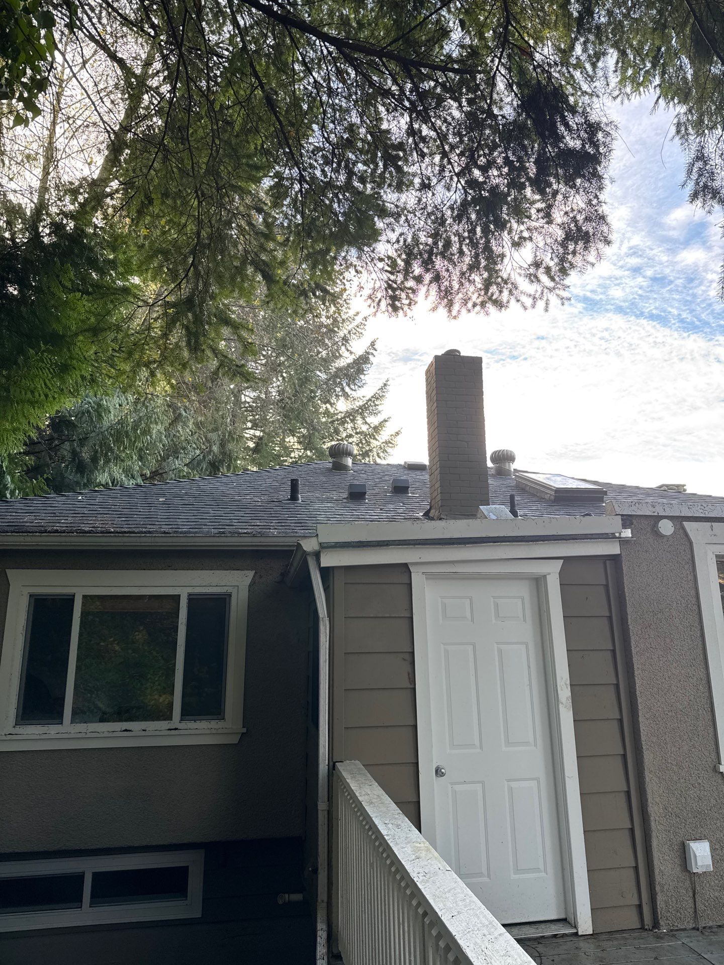 Leaf removal by YVR Construction Group