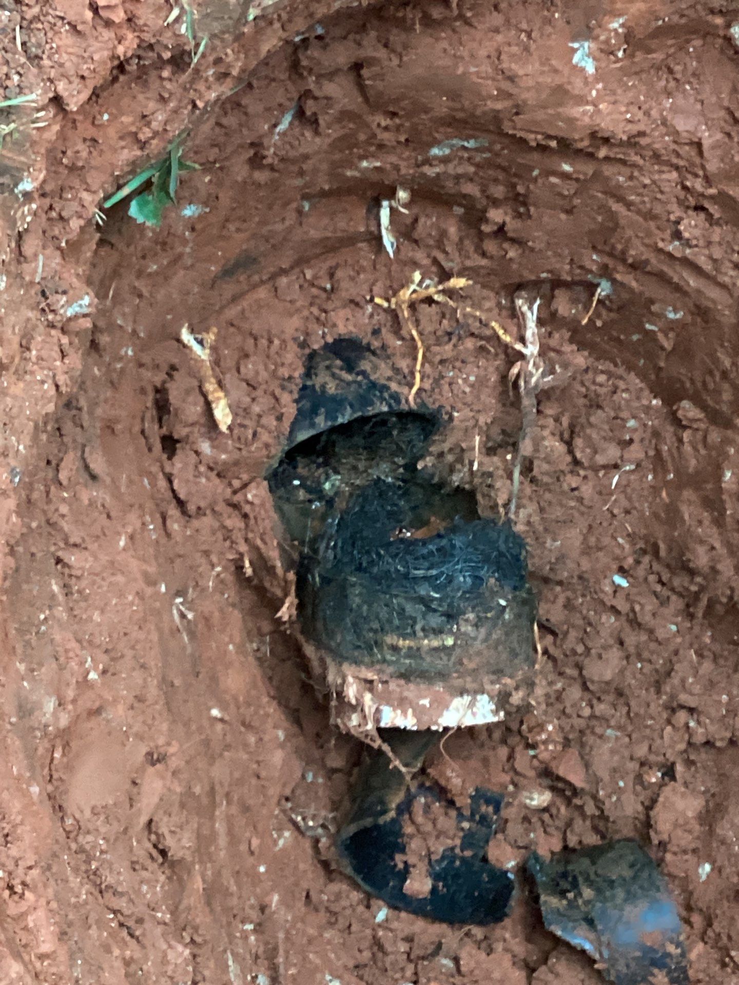 Project in Edmond by PRO-ROOTER