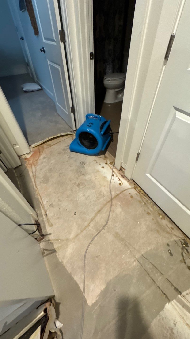 Water Damage Project in Denver by Accountable Home Services