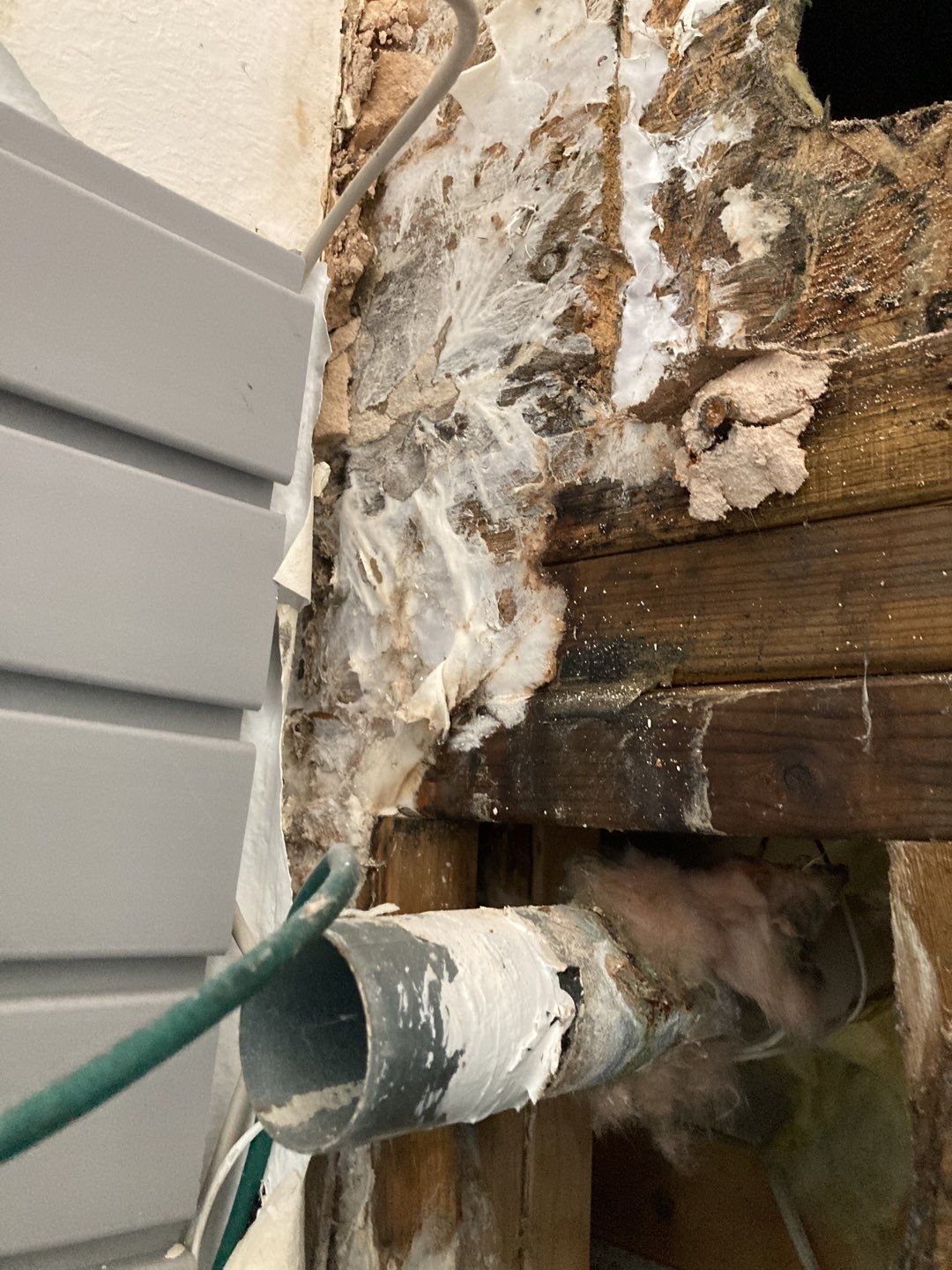 Mold Remediation using Containment by Accountable Home Services