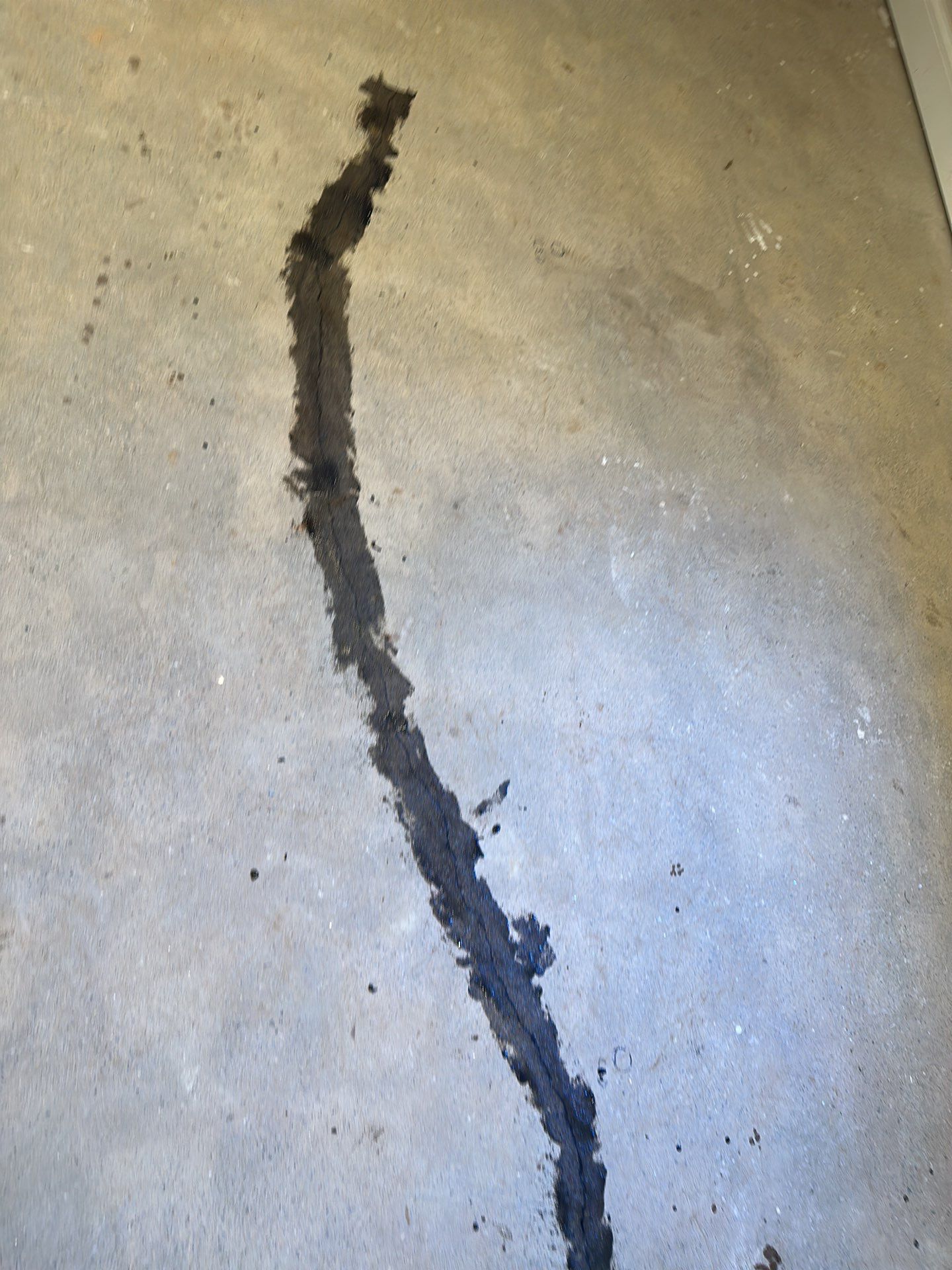 Ogilvie Family transFLOORmation! by Symphony Concrete Coatings