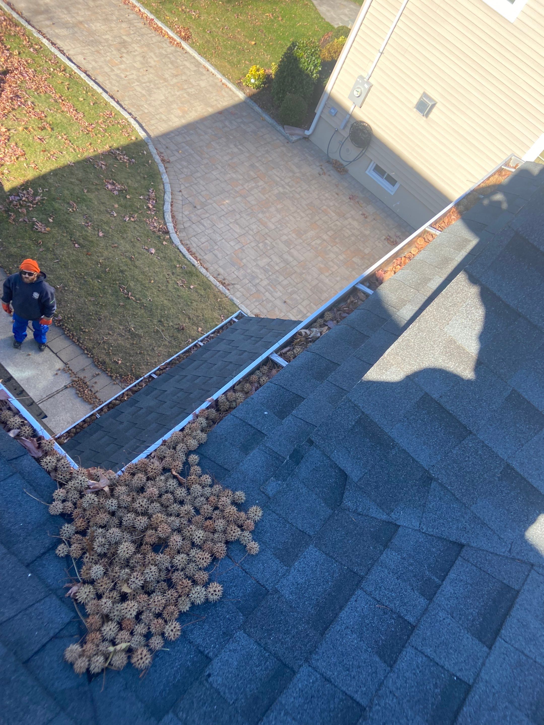 Gutters Clogged with Itchy balls  by Above All Gutters 