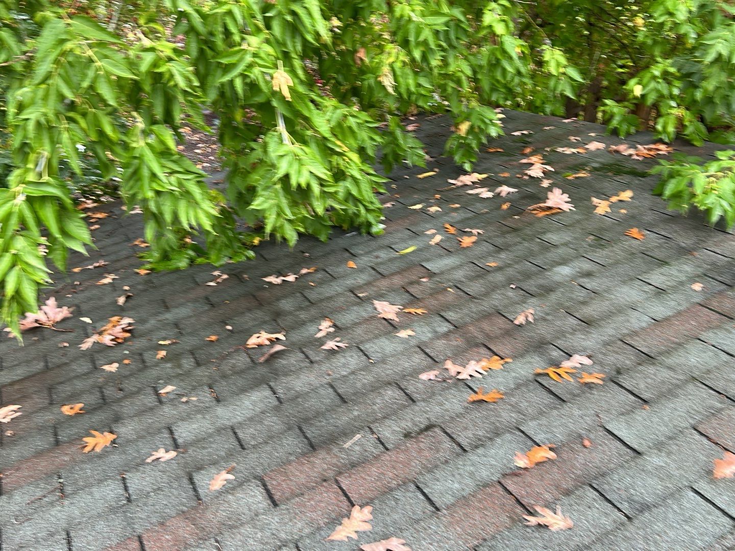 Roof Replacement using CertainTeed Landmark by 180 Contractors