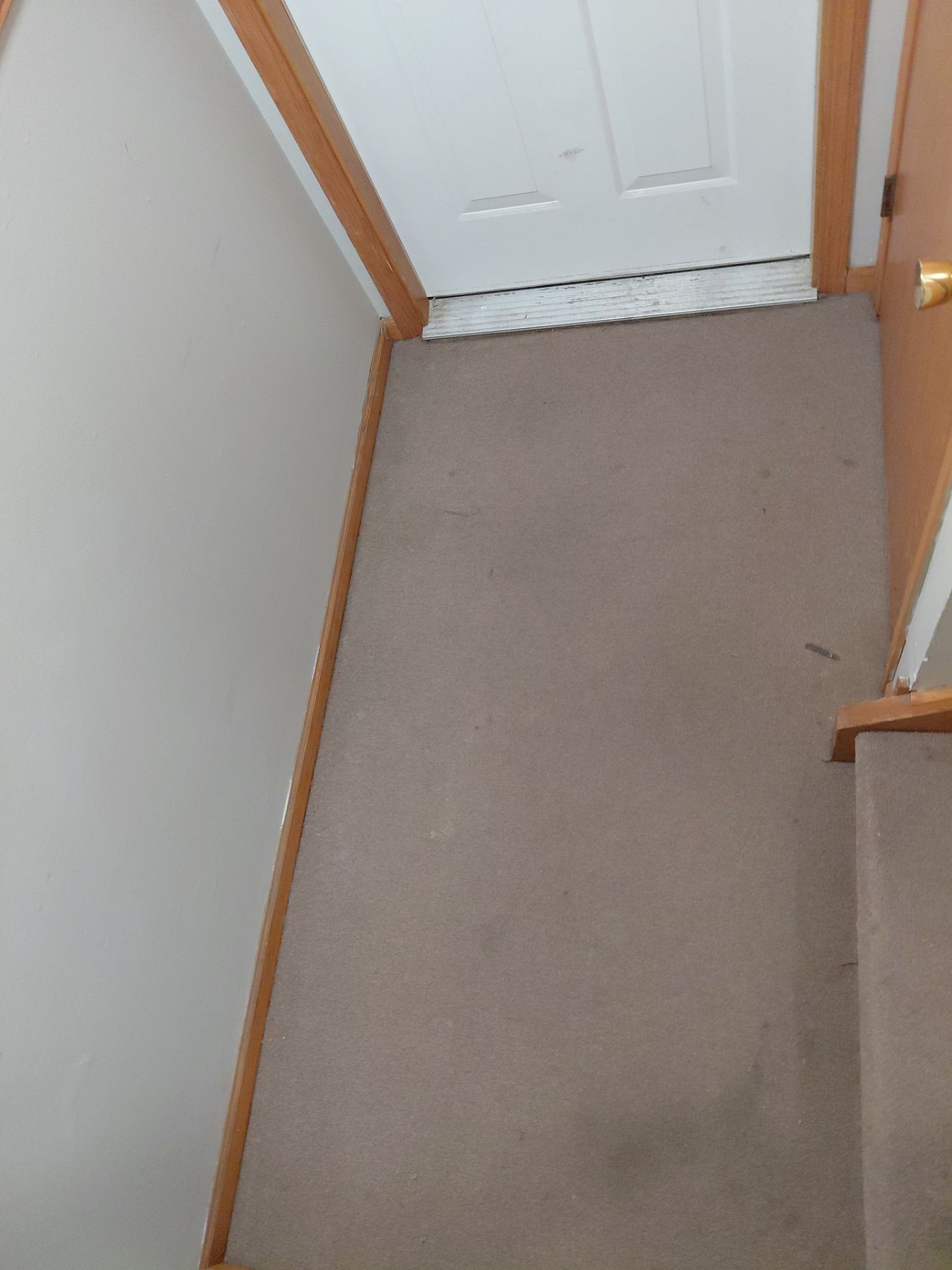 Project in Chicago by Xo Clean Services 