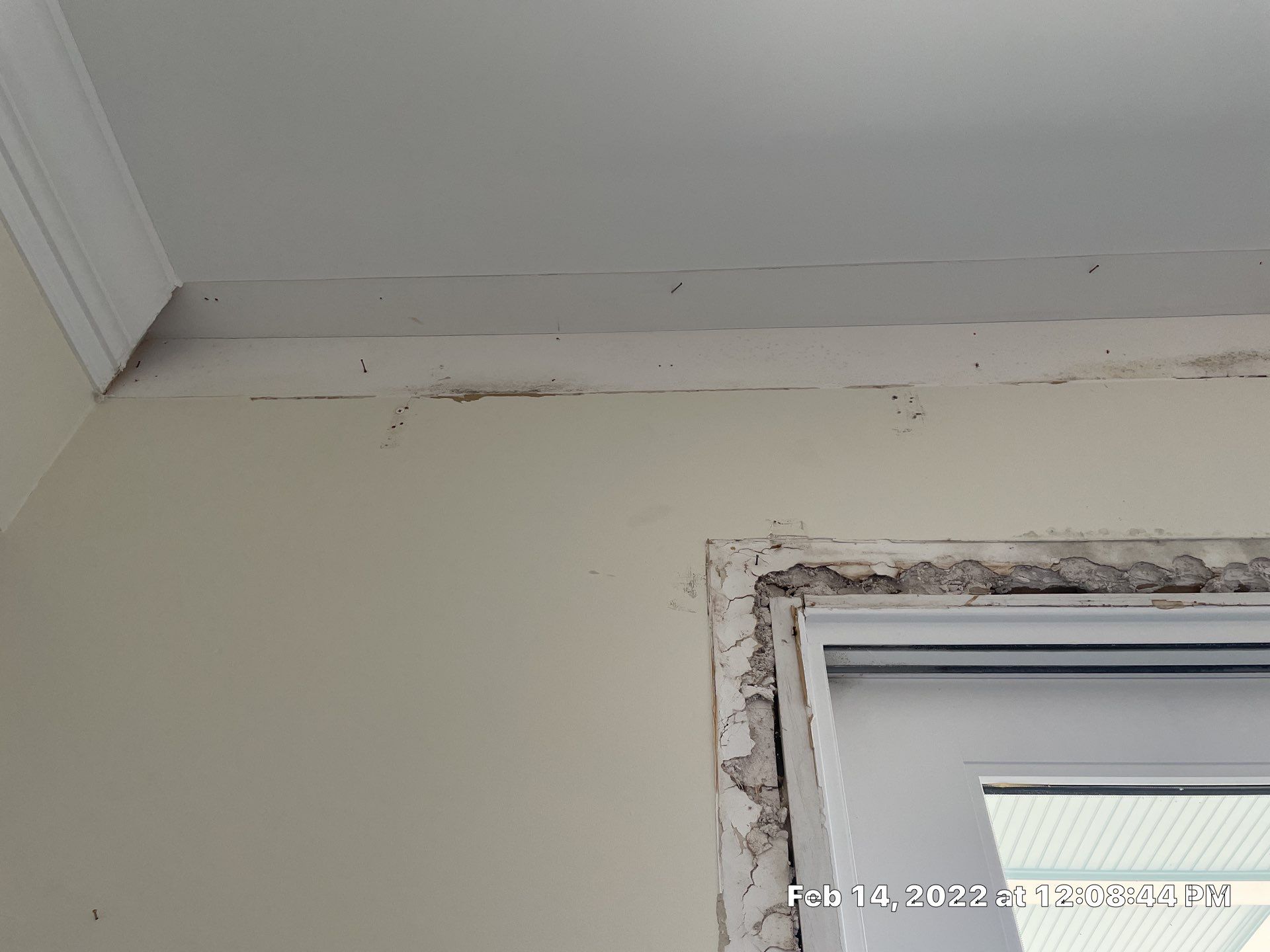 Luxury Home - Owners find termites and need interior selective demo, prior to repairs. by EAS Environmental, LLC.