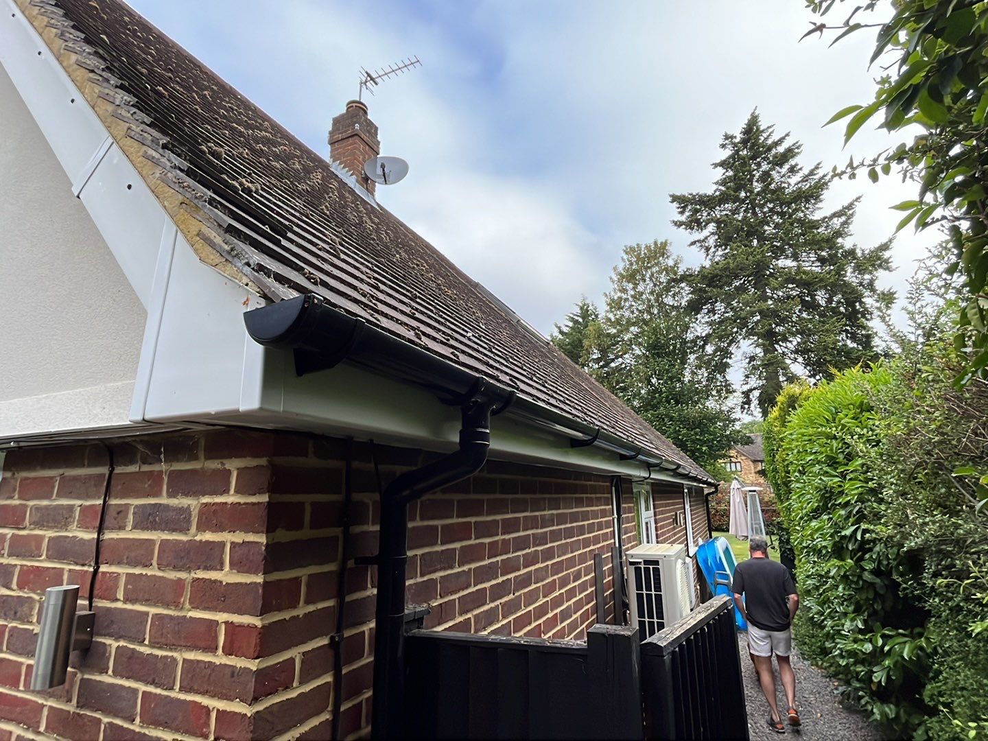 Roof Clean - Biocide Treatment using Honda 15lpm Low Pressure Washing Machine by Ges Exterior Cleaning ltd
