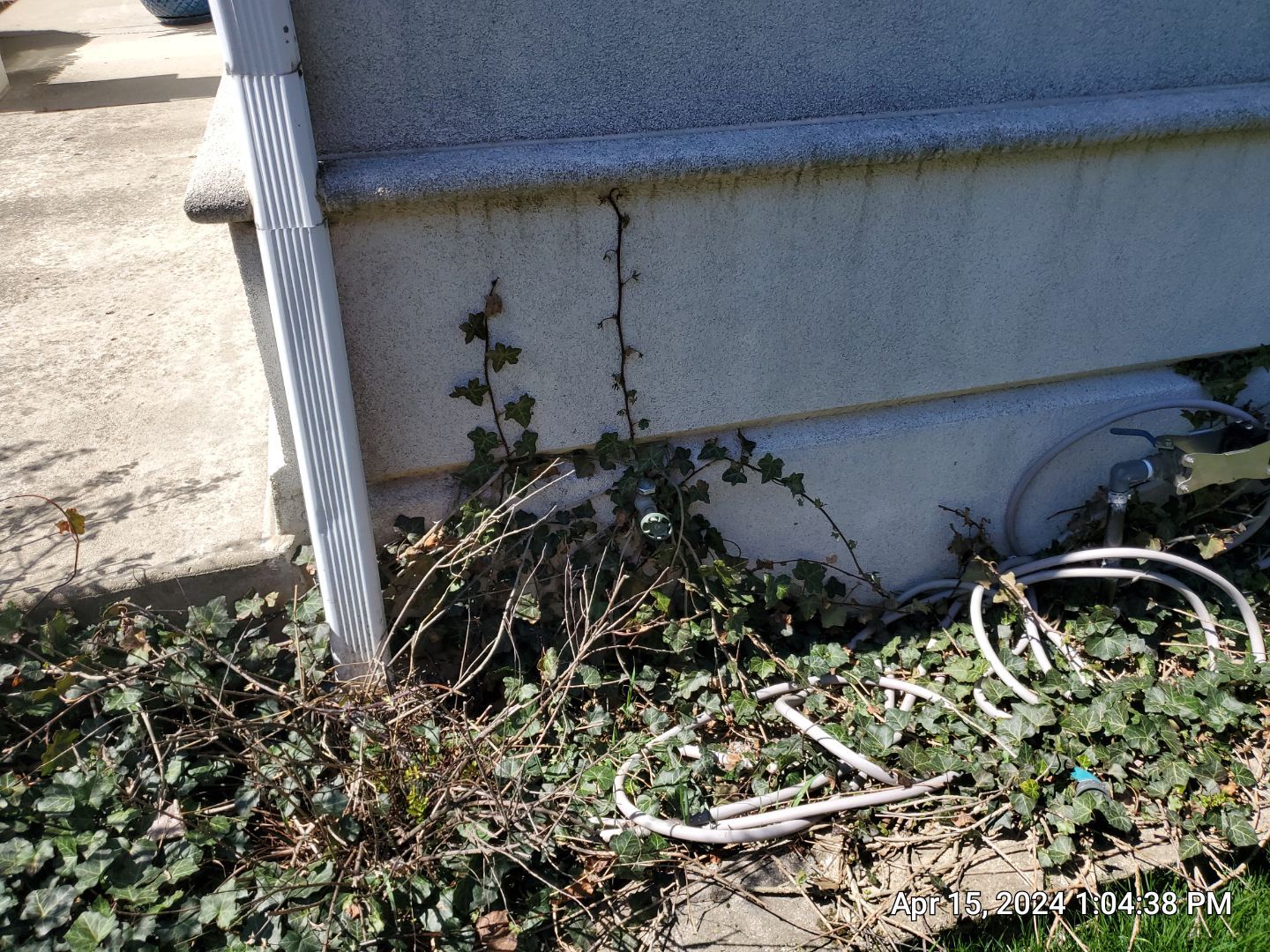 dryvit using Algaecide, soft wash soap by Northern Power Washing LLC.