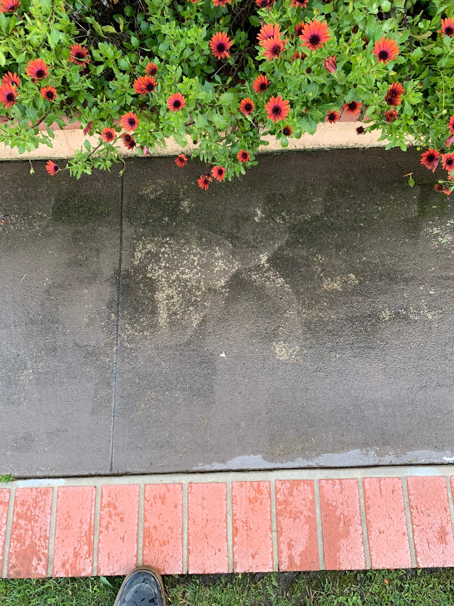 Pressure Wash using Sodium Hypochlorite and Solar Panel Cleaning in Huntington Beach by Property Cleaning Experts, LLC
