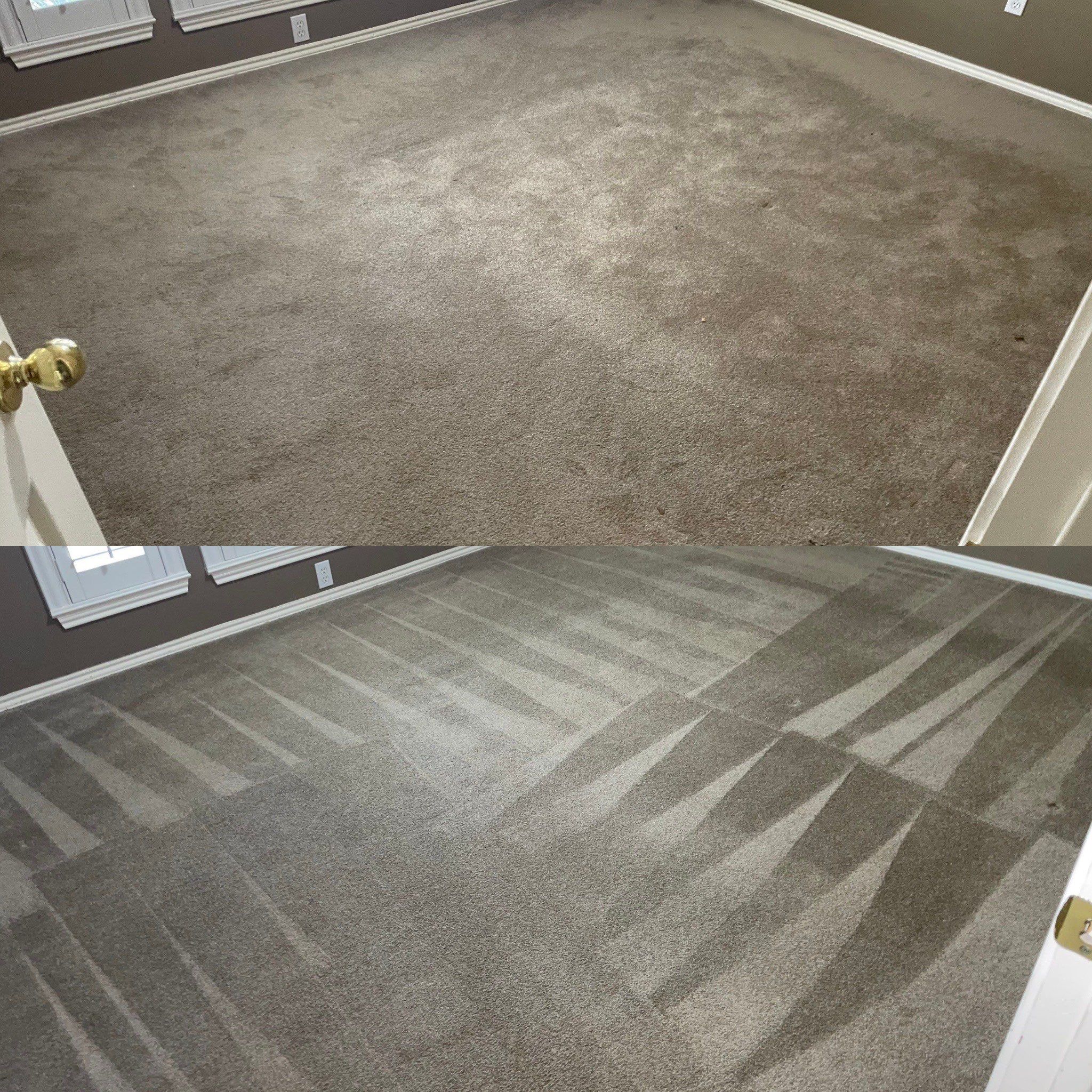 professional carpet cleaning deep cleaning removing dirt stains leaving clean lines from steam cleaner or similar equipment