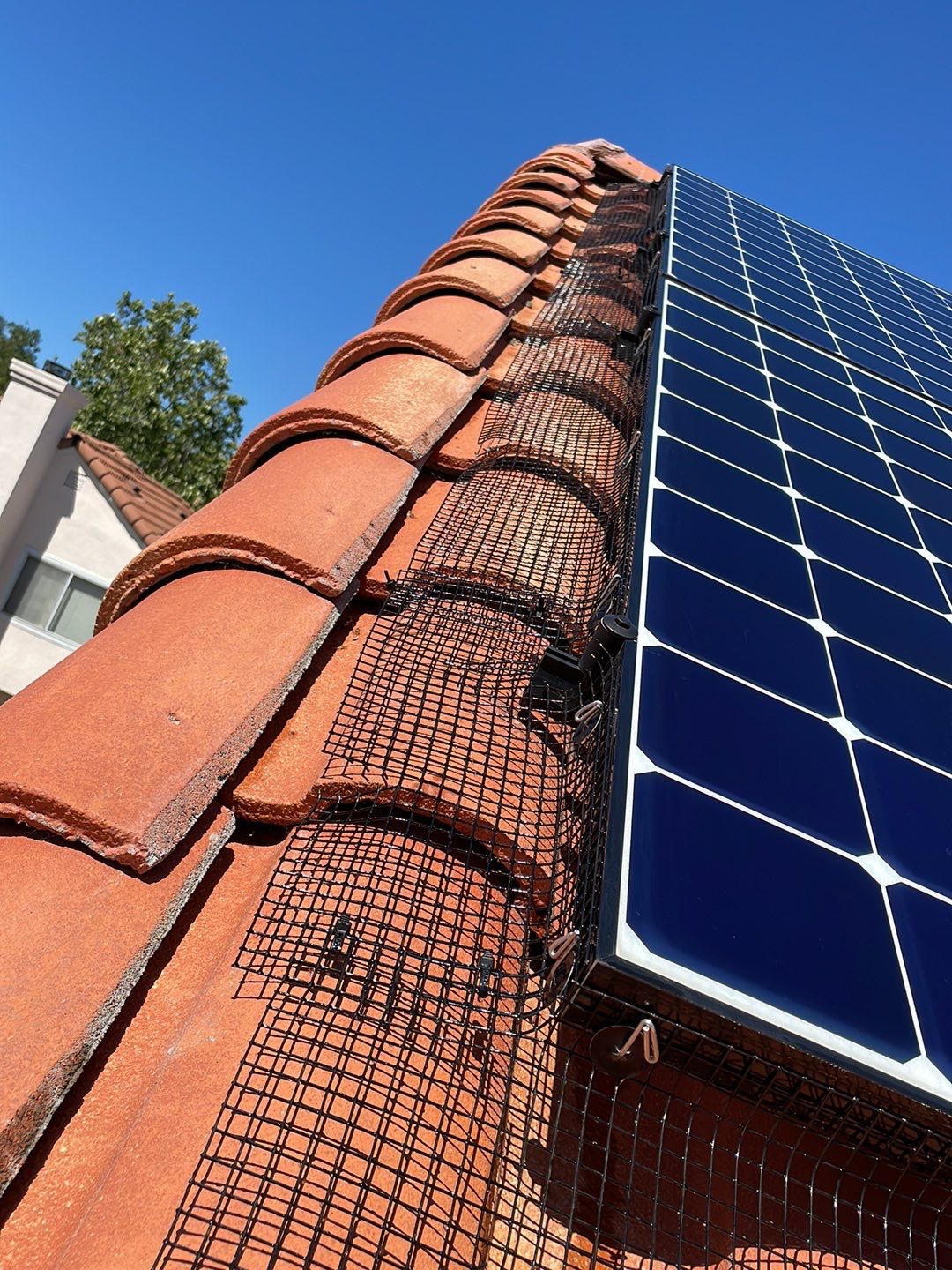 Solar Panel Bird Proofing using Critter Guard Mesh by All One Solar Shine