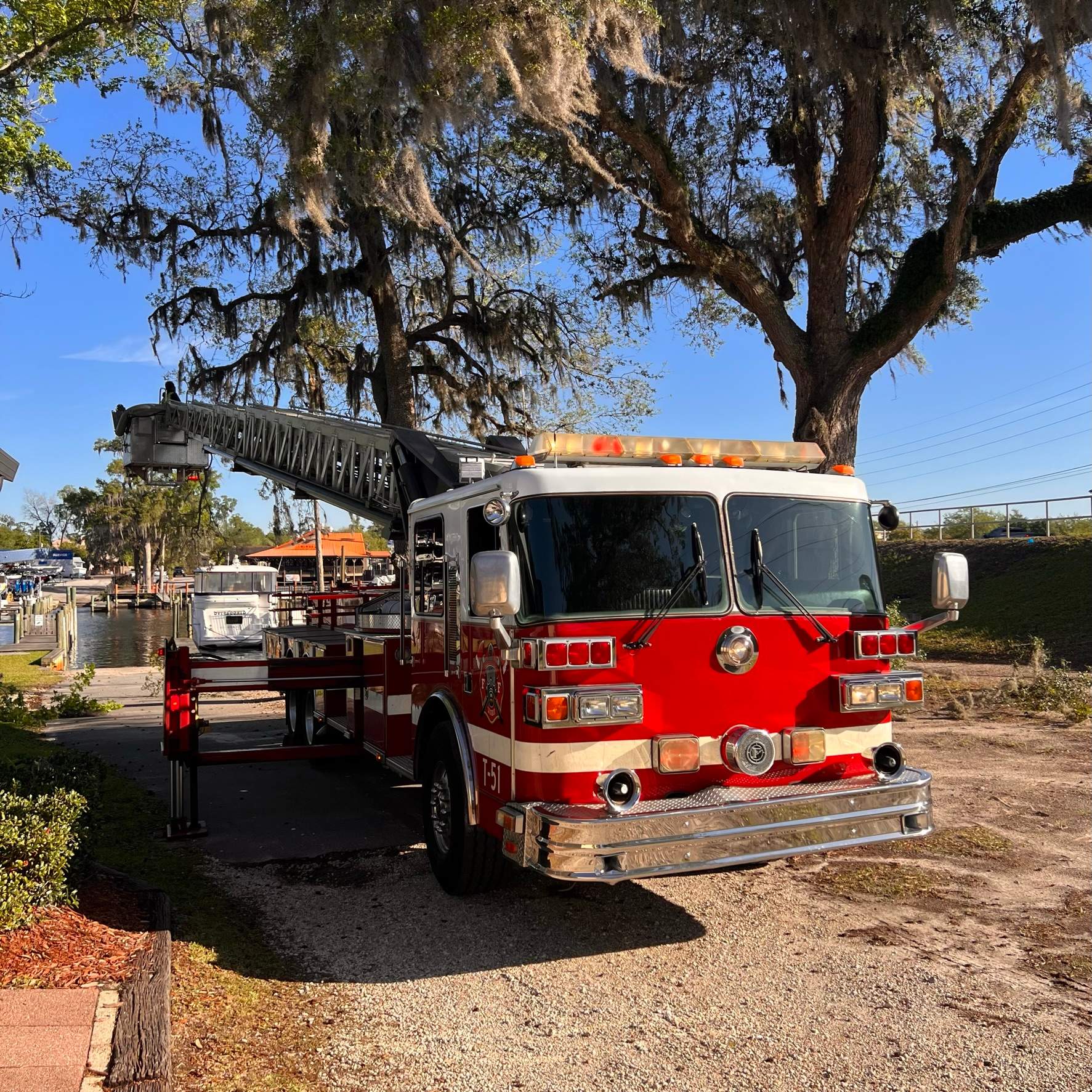Tree Work | Florida Gun & Tackle by ProGreen Services