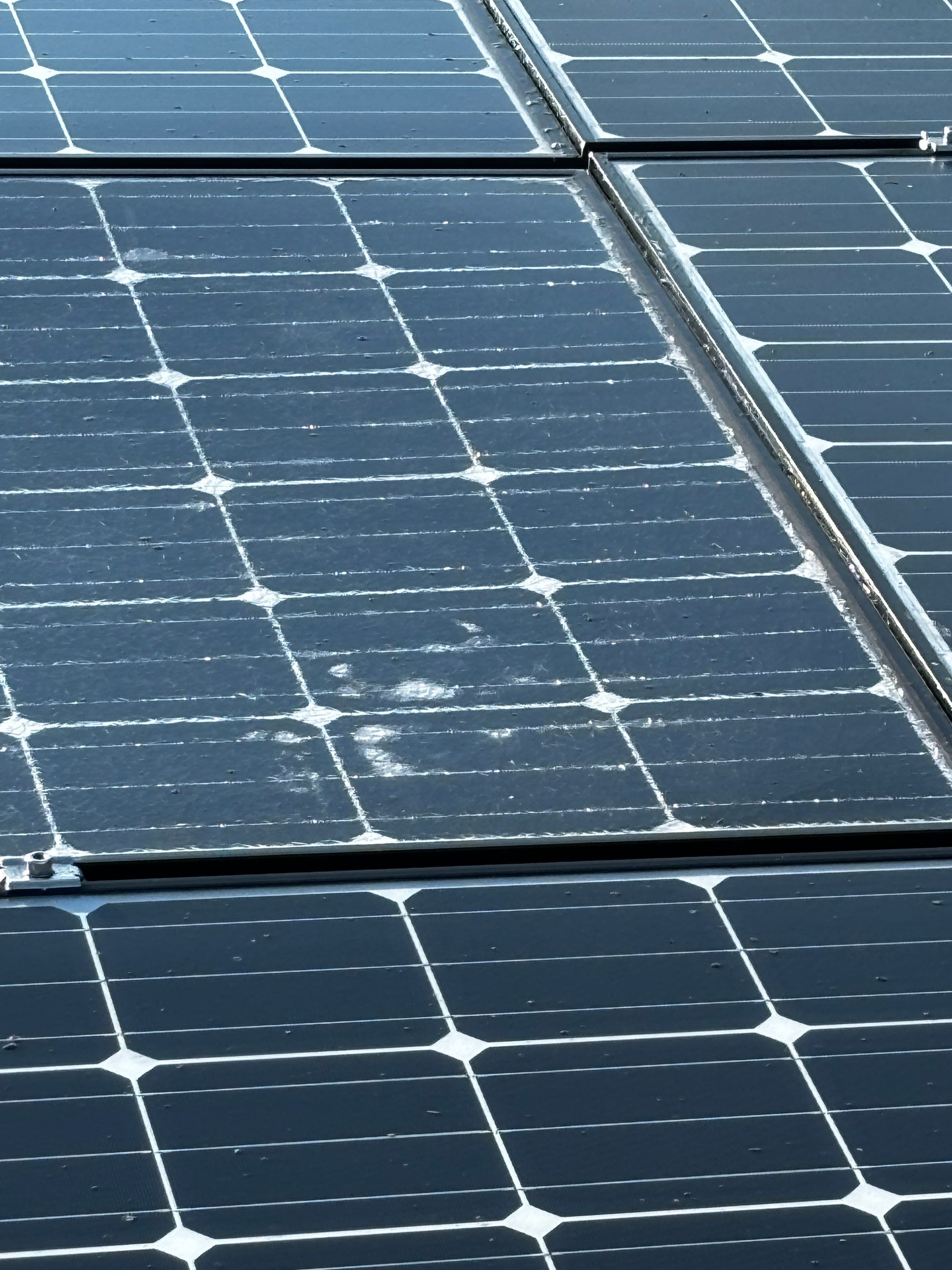 Commercial Solar Panel Cleaning for Chandler School in Pasadena Ca by Palm Coast Solar Cleaning