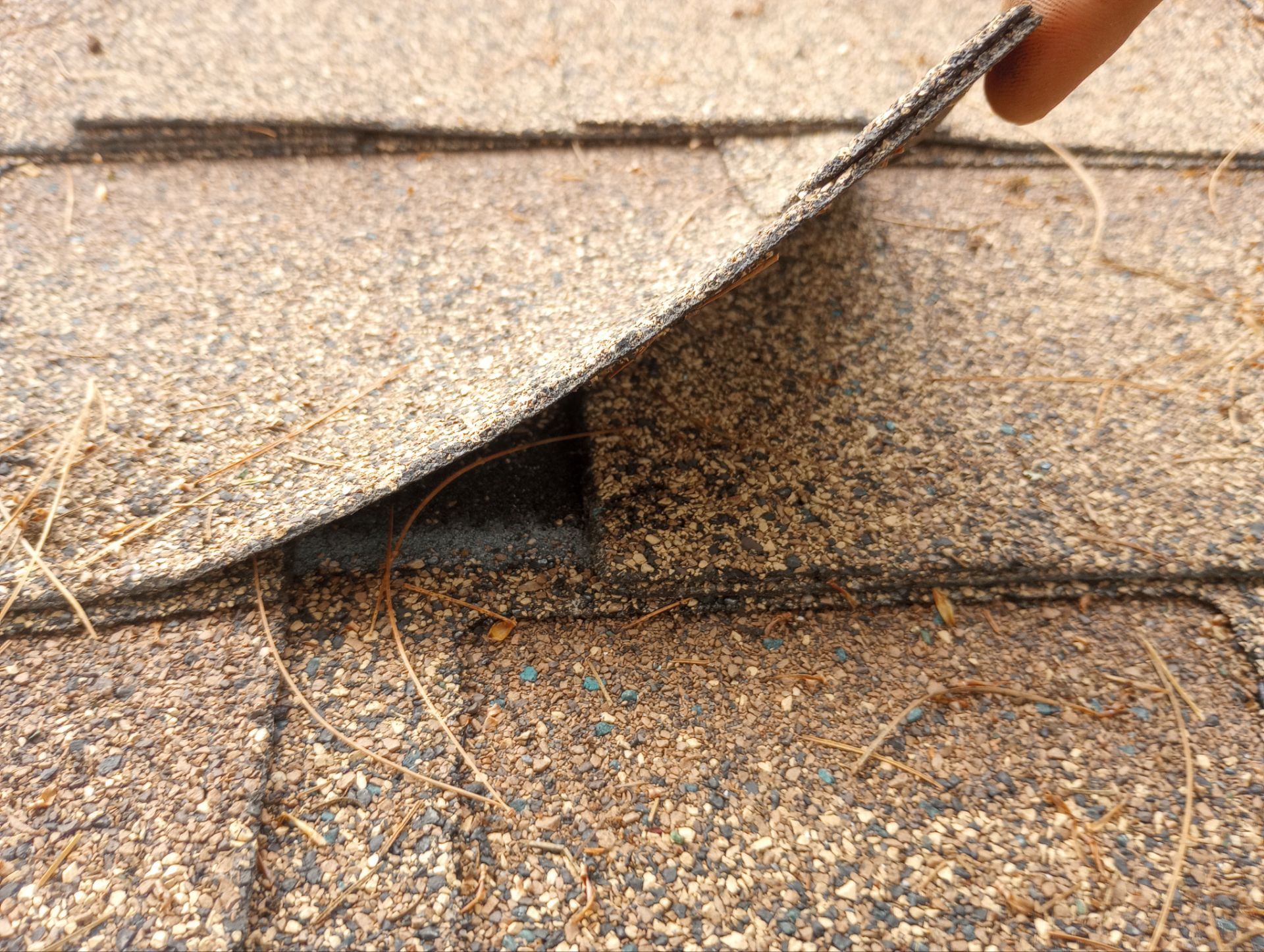 ReRoof using IKO Dynasty by The B.A.R Roofing