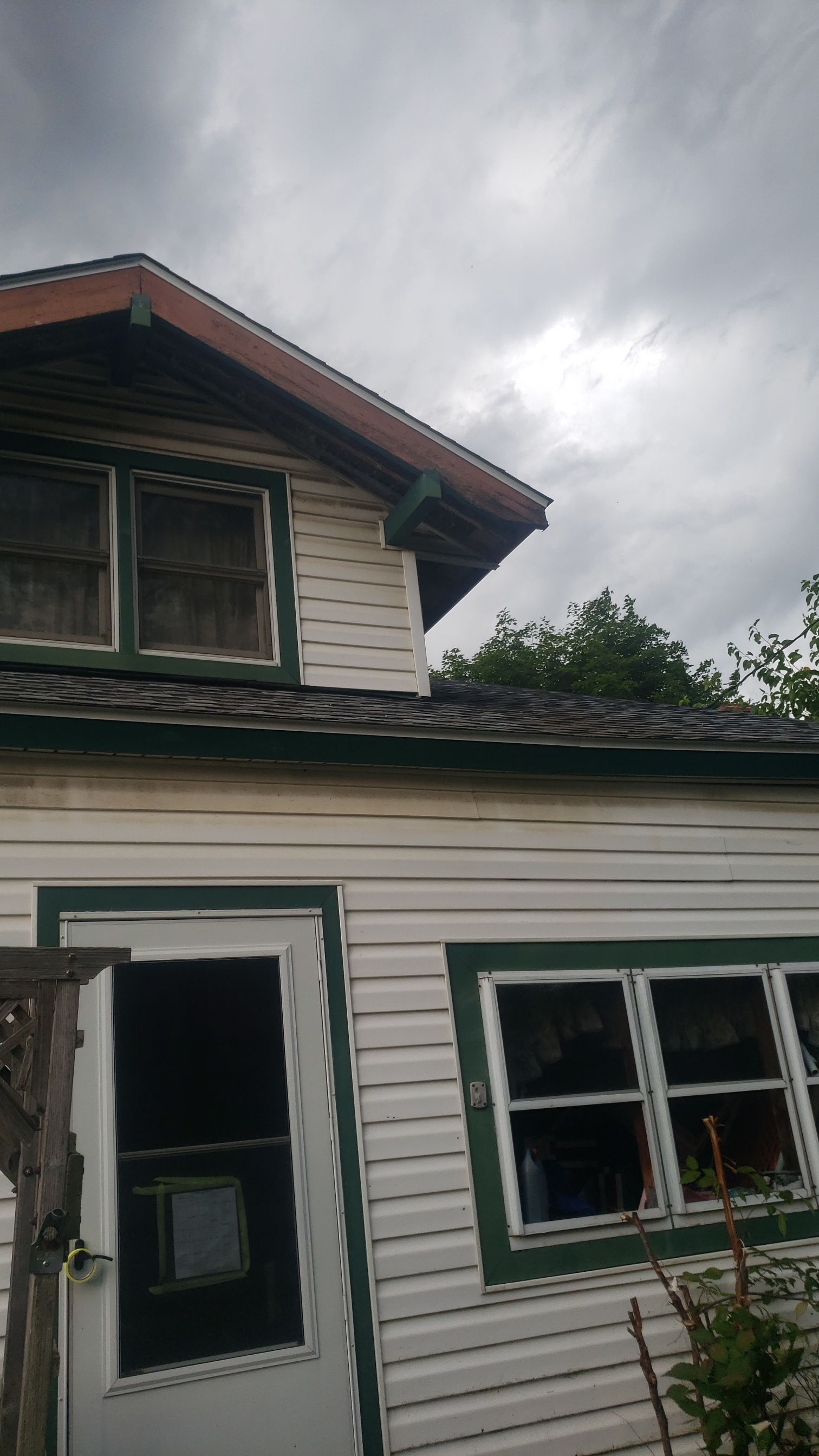 ATLAS PINNACLE COLOR: COASTAL GRANITE DRIP EDGE: WHITE by Eagle Eye Roofing