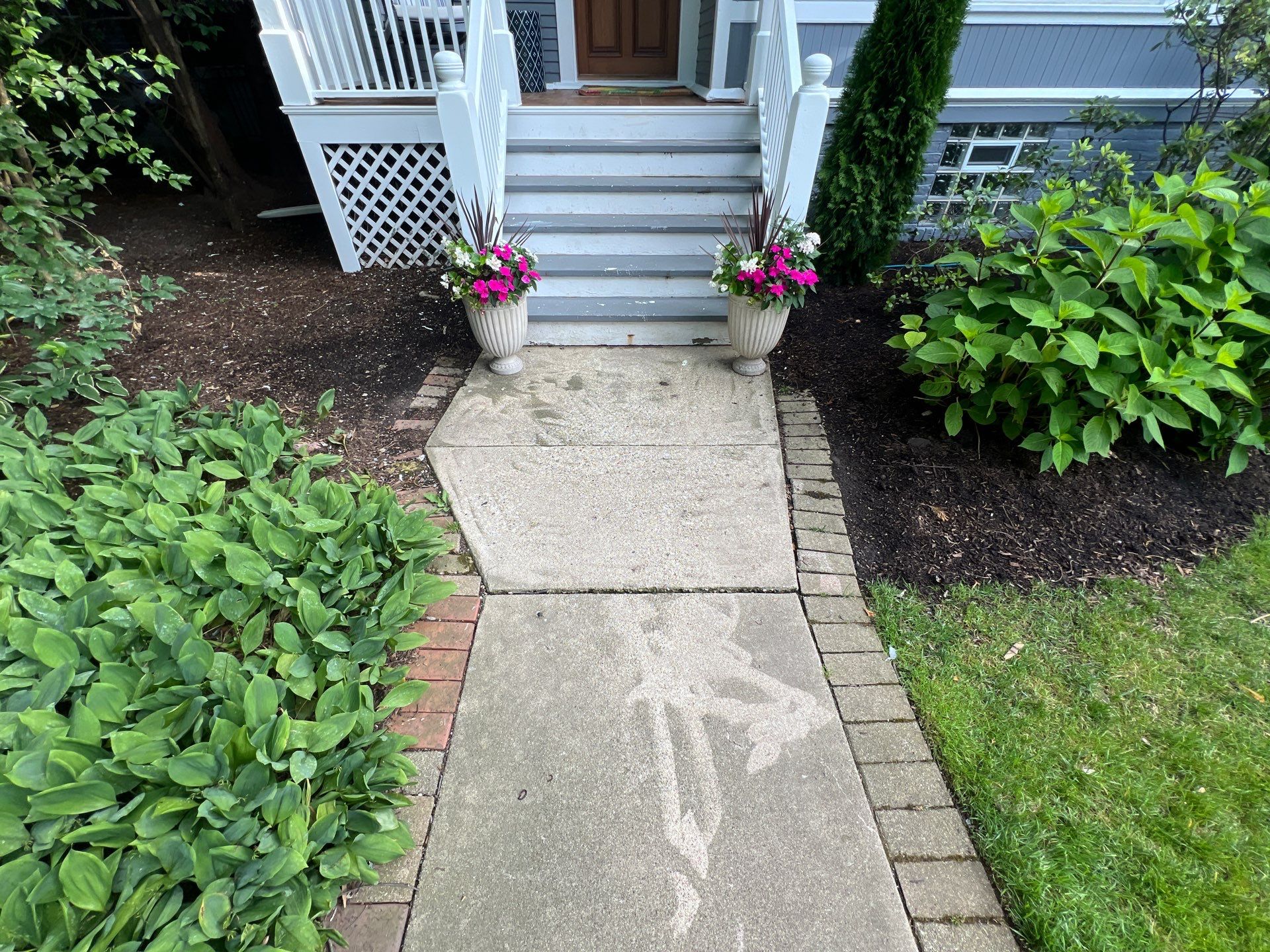 concrete cleaning using Algaecide, soft wash soap by Northern Power Washing LLC.