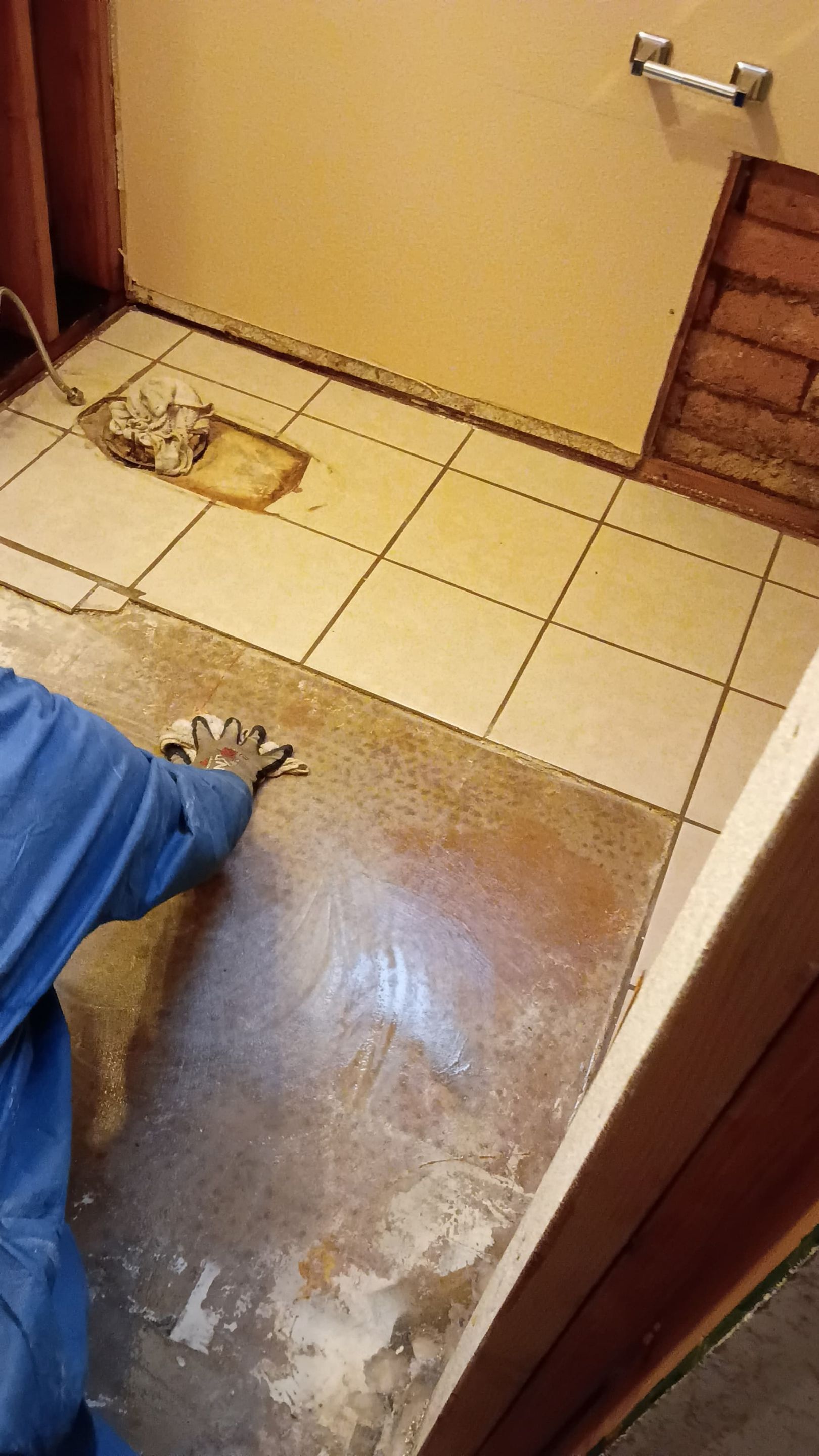 Project in Mesa, AZ by Desert Valley Abatement, LLC