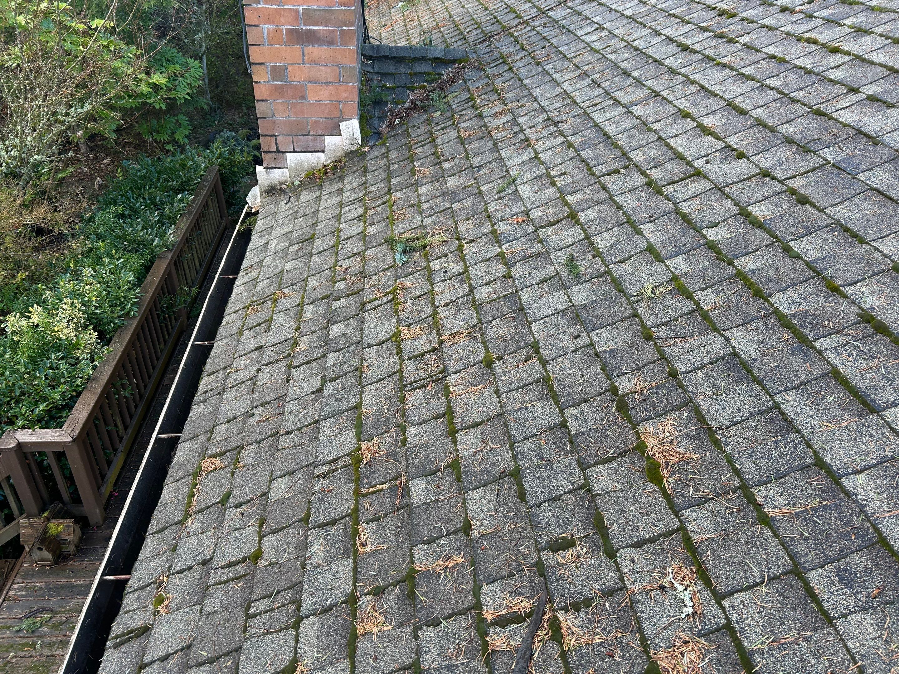 Roof Replacement in Hillsboro by Prodigy Roof Solutions