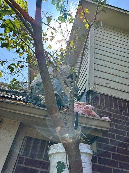 Between Floors by Rockwall Honey Bee Company