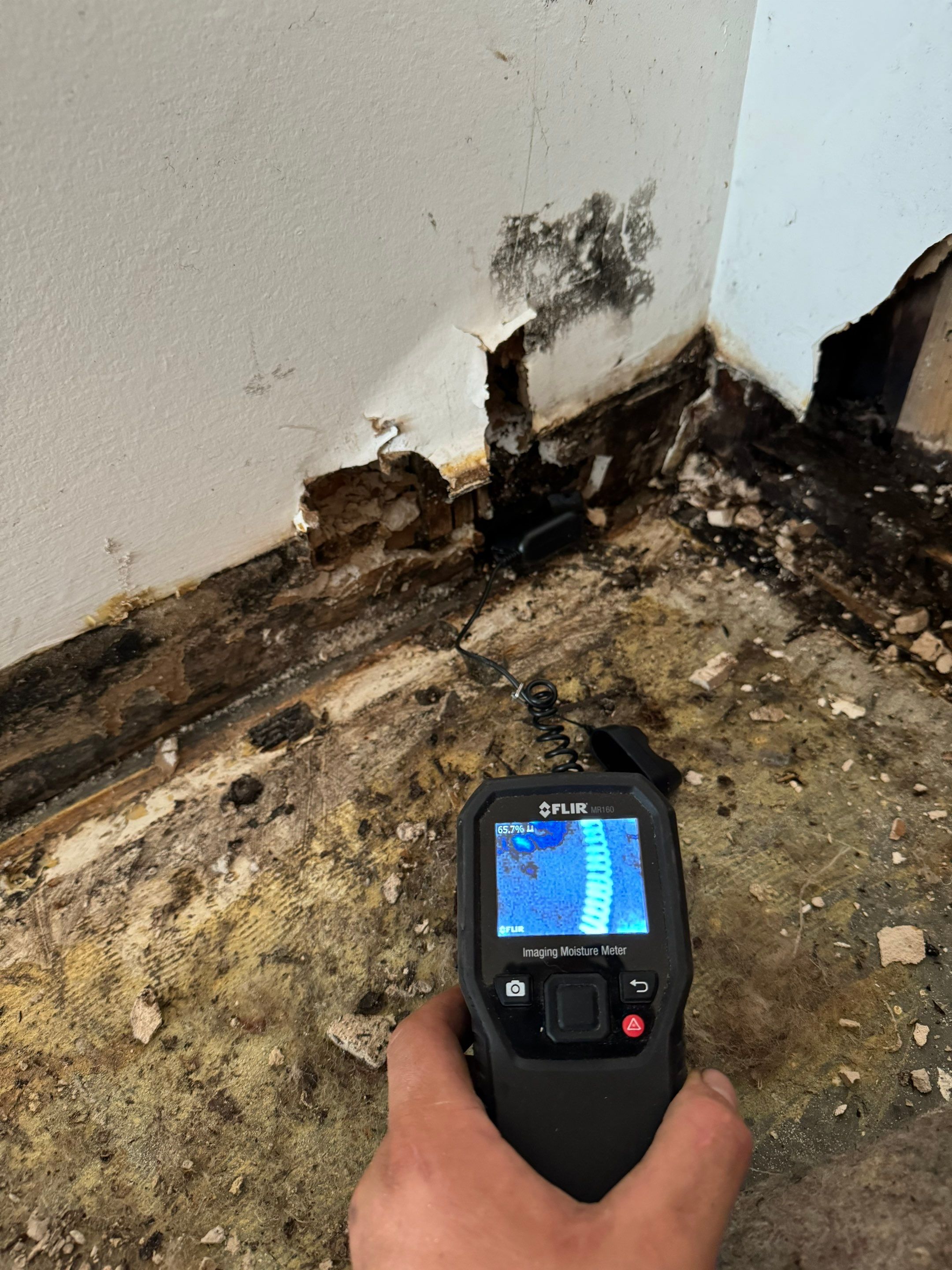 Major Basement Remediation / Restoration by Home Guarantee, LLC