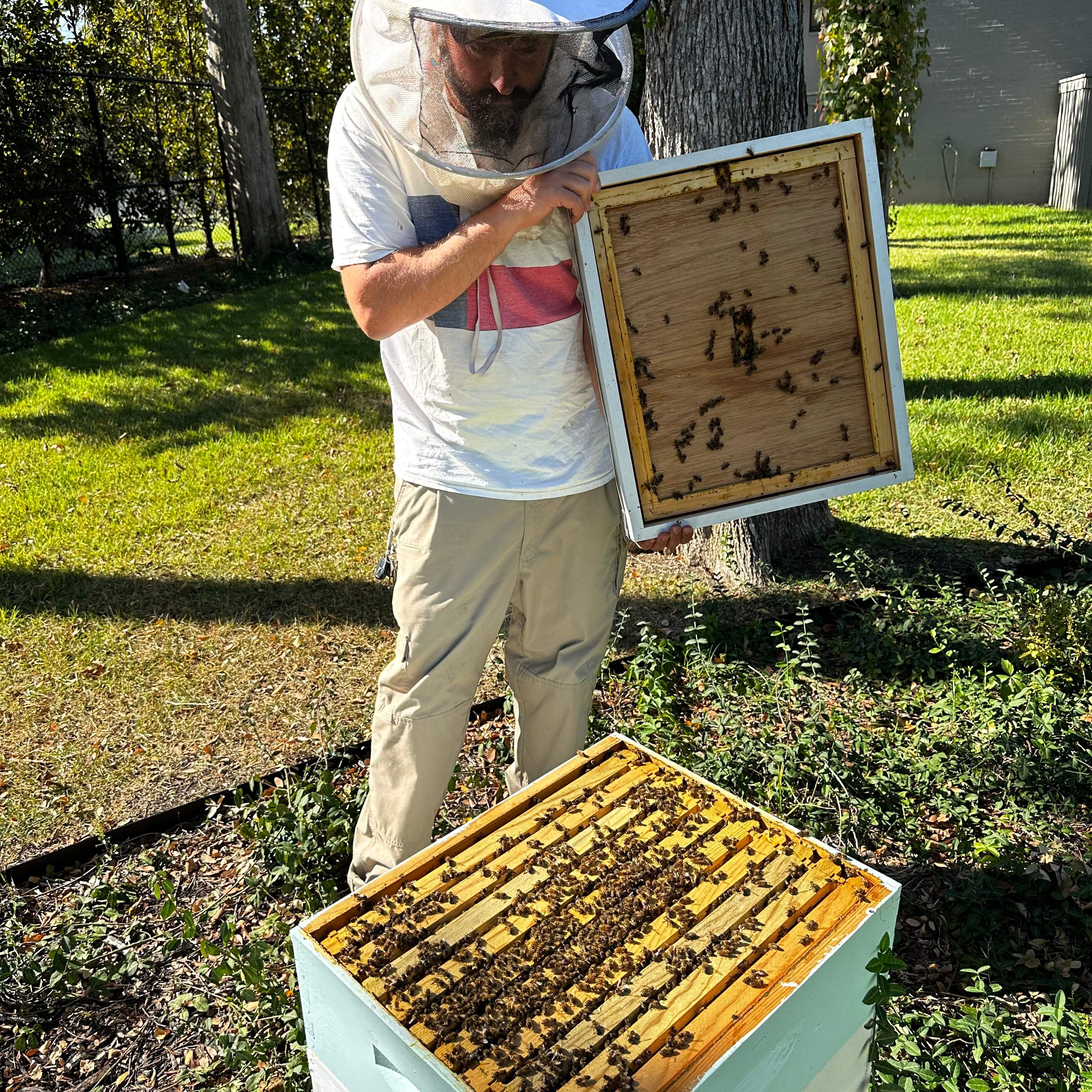 Final Beauty of 2024 by Rockwall Honey Bee Company