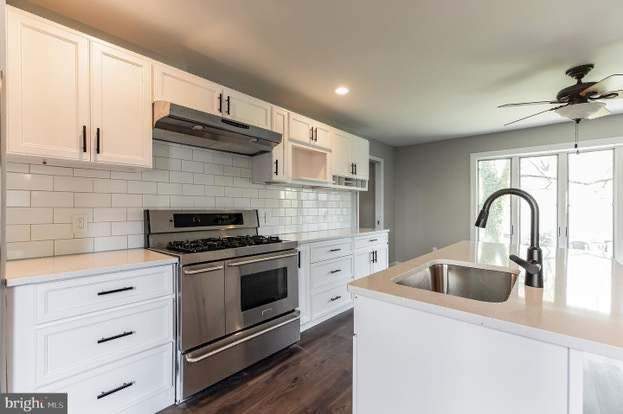 Kitchen Cabinet Painting by GLSpainters