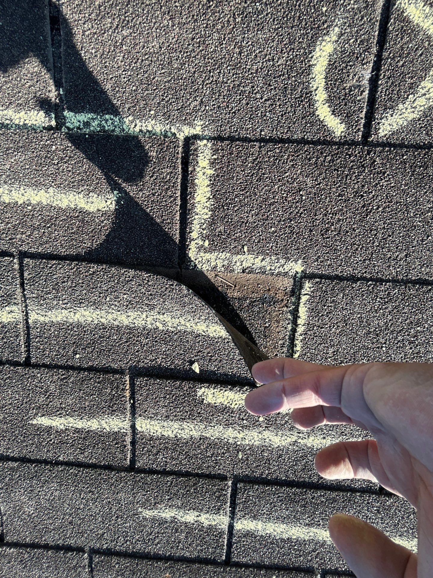Miss Bridgette by REPS Austin Area Roofer