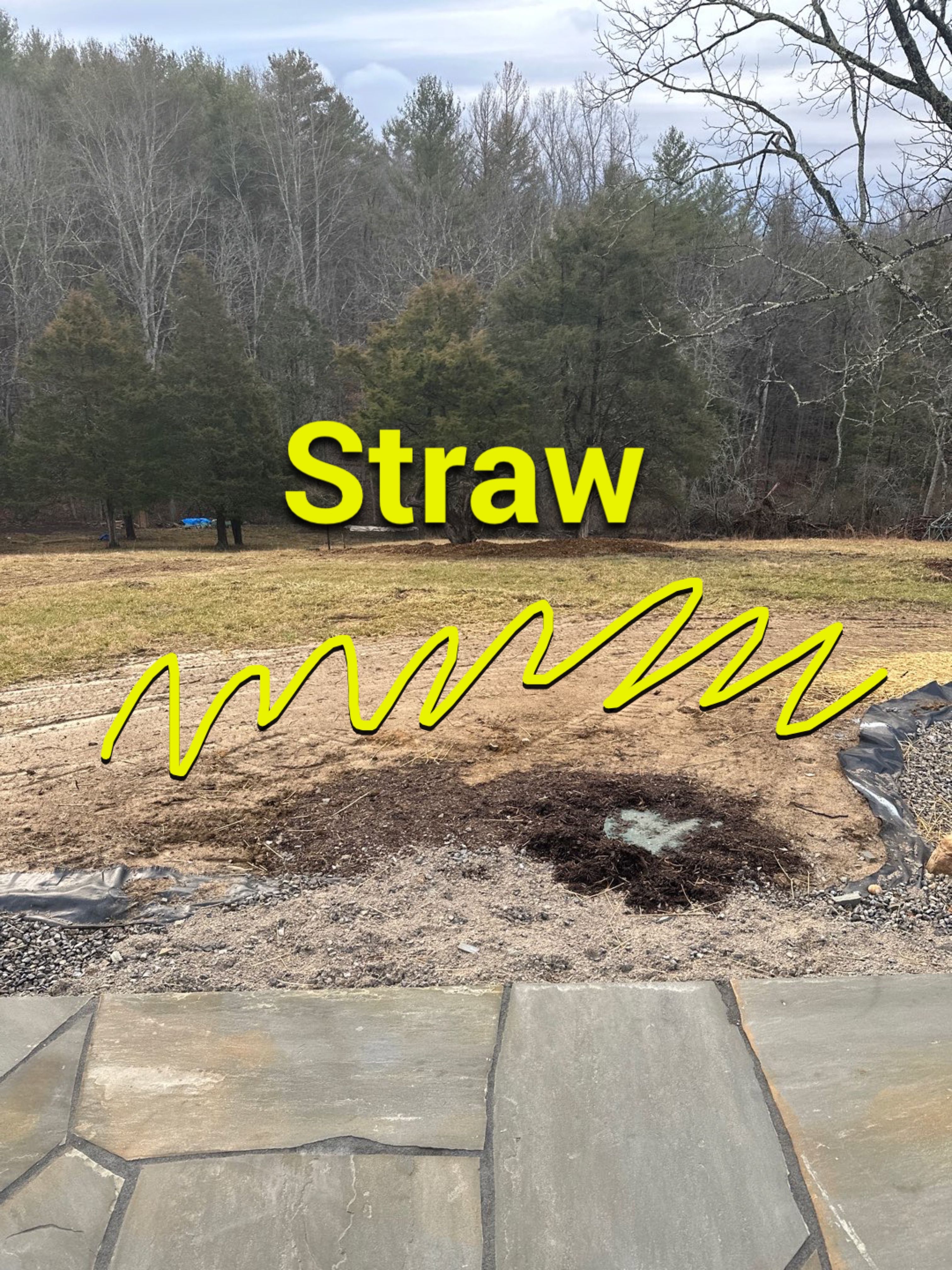 Clay street  by Back To Nature Landscaping & Construction