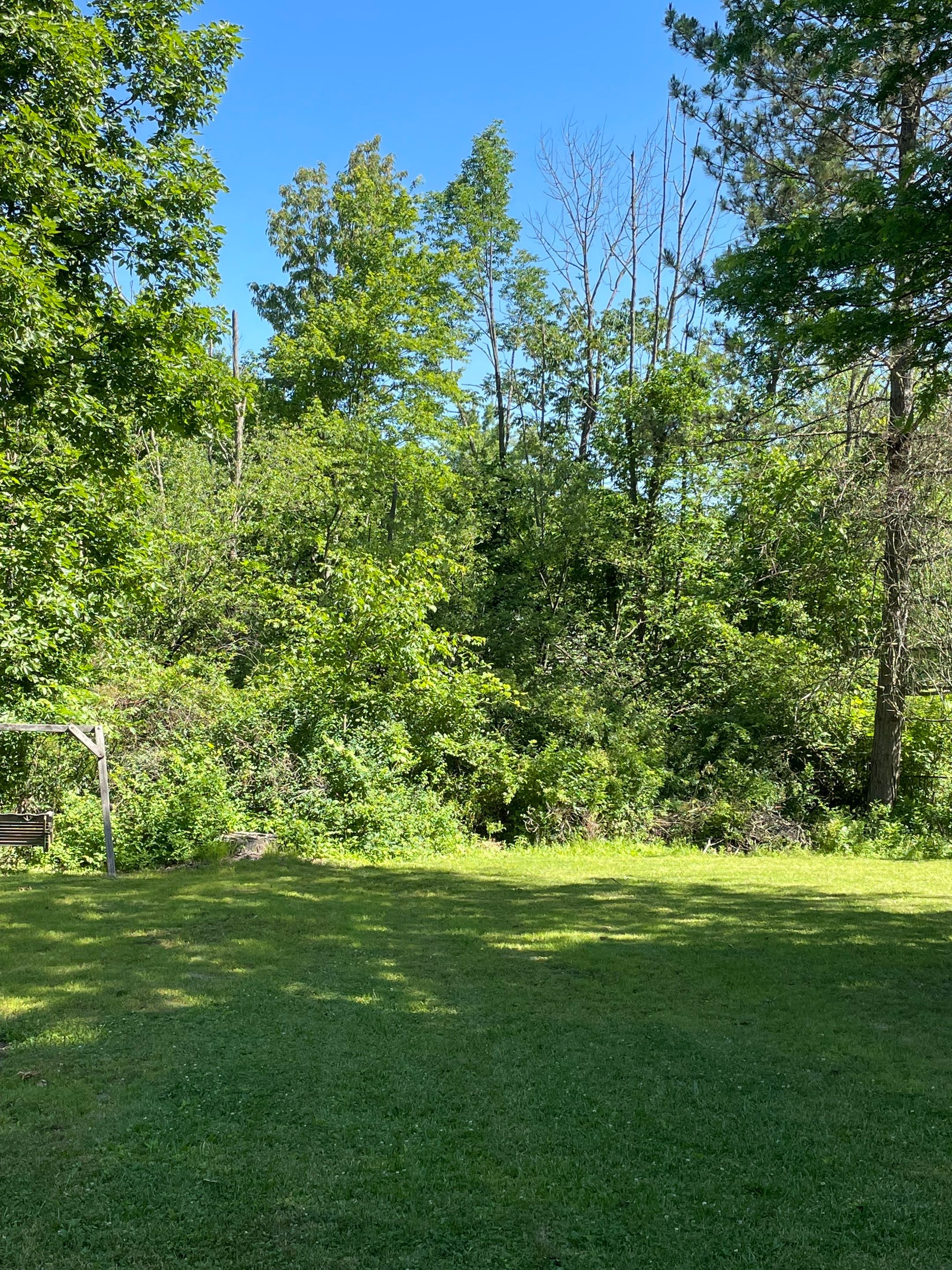 Tree Removal using Tree Removal by Mike Jones & Sons Tree Service LLC 
