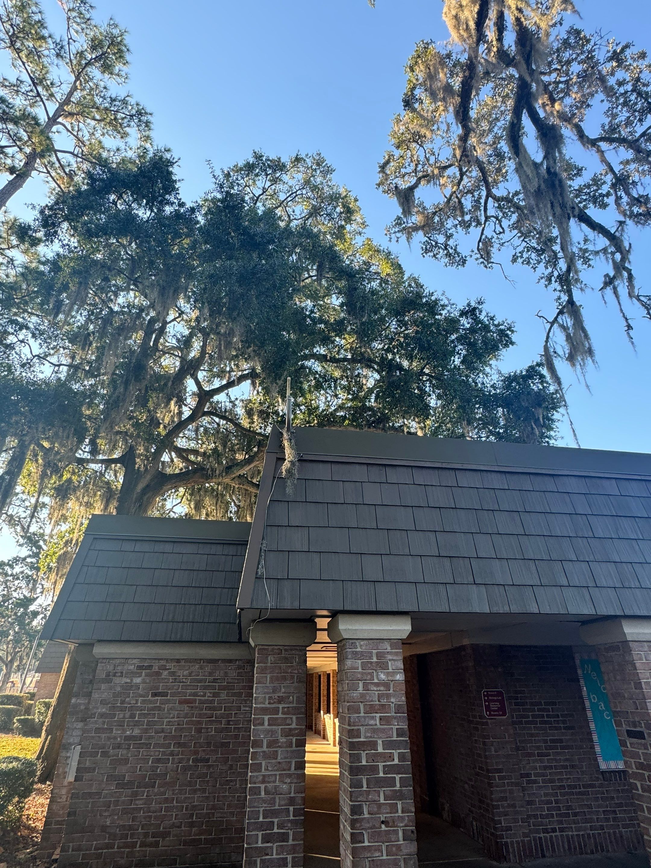 Volunteer Work | Episcopal High School of Jacksonville by ProGreen Services