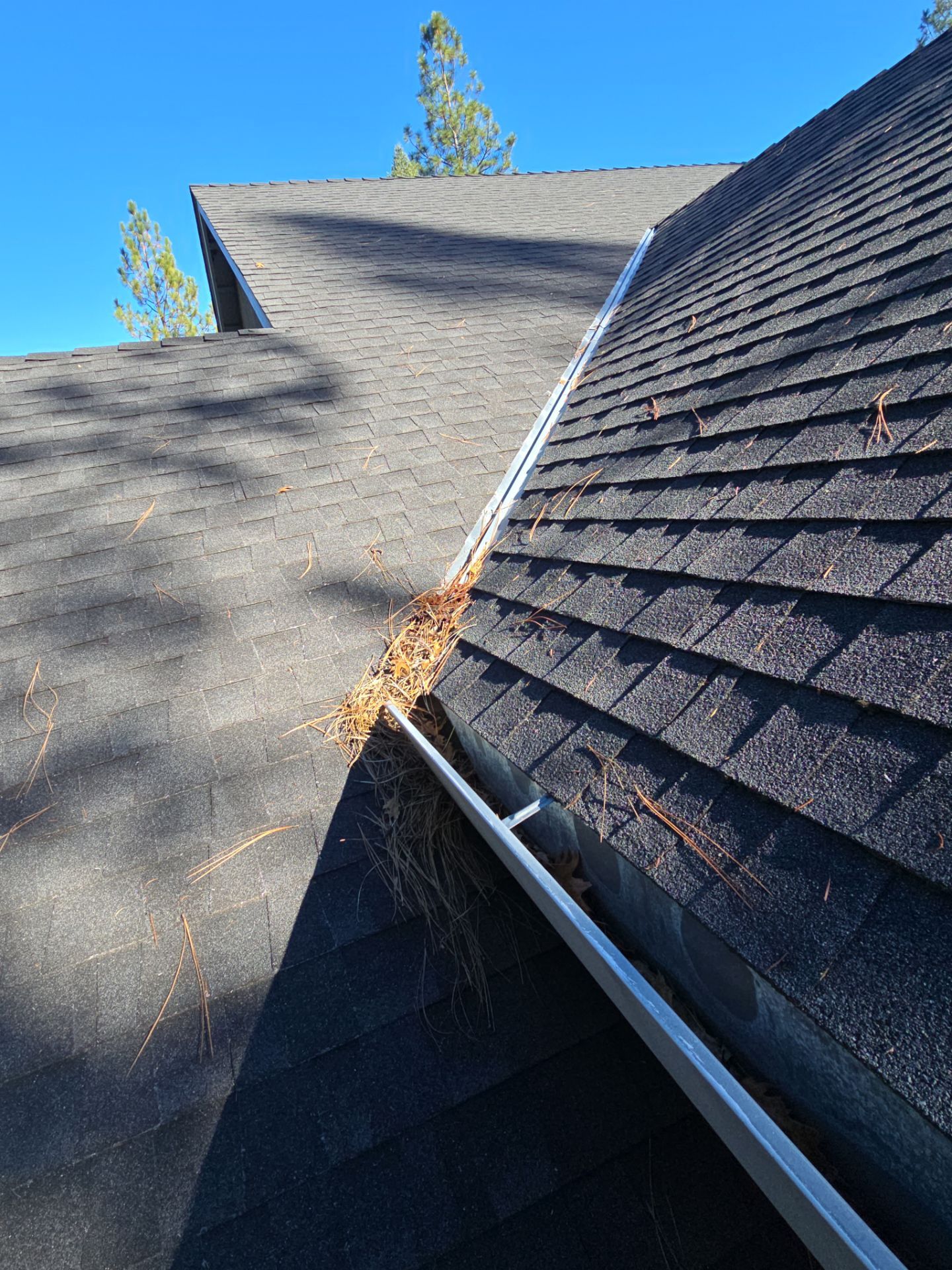 Roof Rejuvenation using Roof Maxx Treatment by Roof Maxx of Folsom