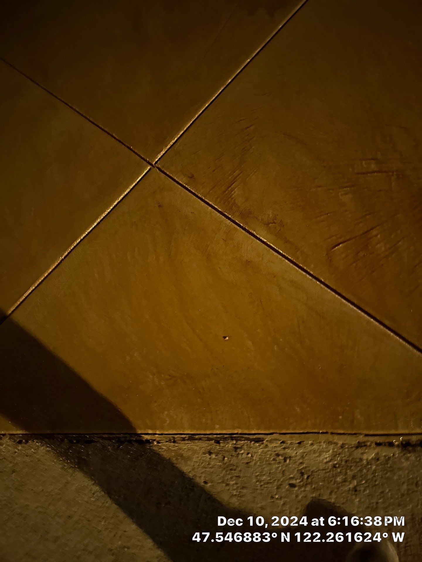 Concrete Driveway Repair | Seattle  by Jireh Asphalt & Concrete Inc 