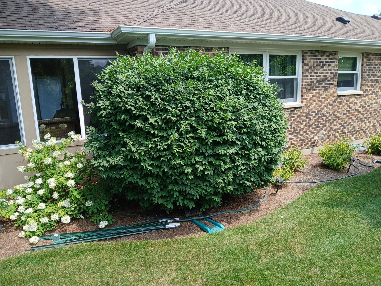Ed E. - Wheeling, IL by A&N 