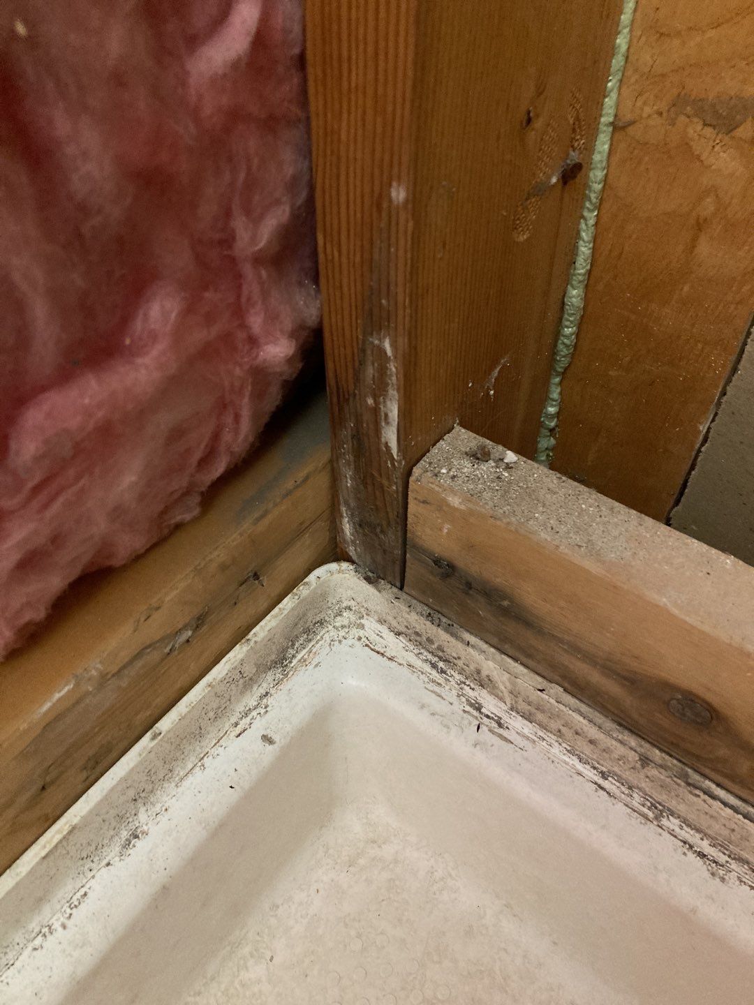Mold Remediation  by Accountable Home Services