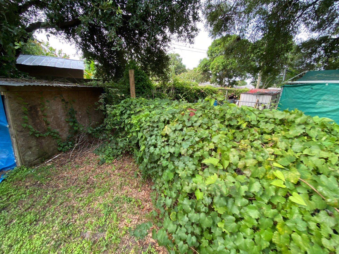 Bradenton, FL 6ft. Tall White Vinyl Privacy Fence  by Asap fence and gates, LLC