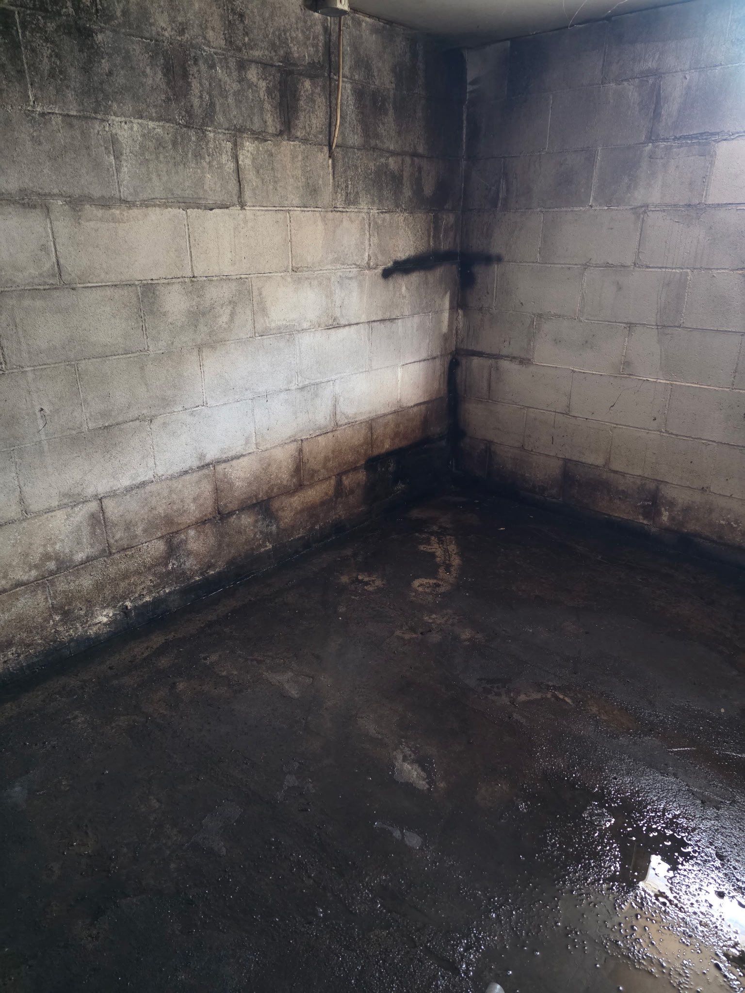 Taking Back Your basement by Local waterproofing And Concrete