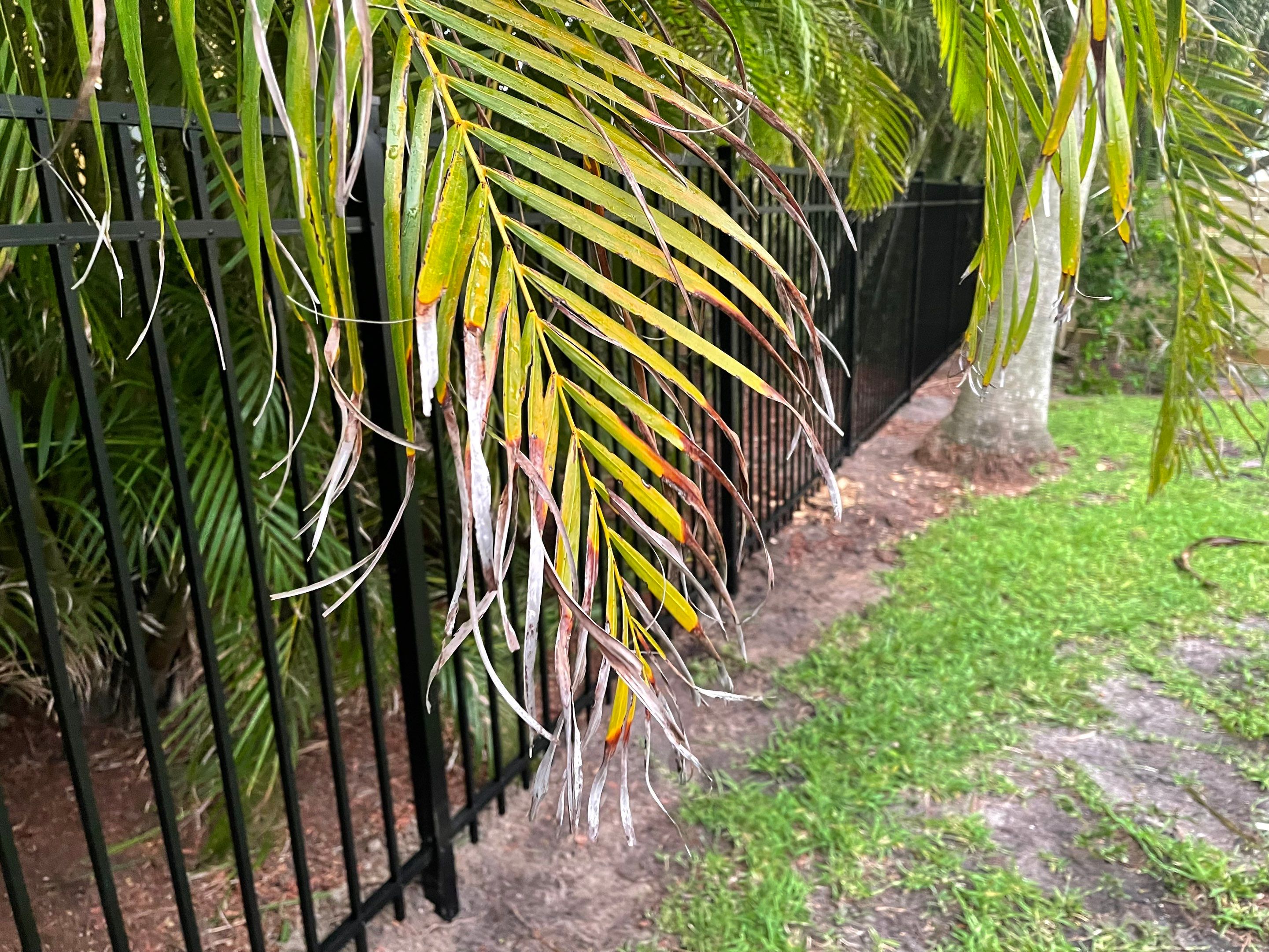 Longboat Key, FL 6ft. Tall Wood Horizontal Privacy Fence by Asap fence and gates, LLC