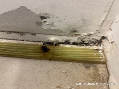 Slab Leak Restoration — Bonita Springs, FL