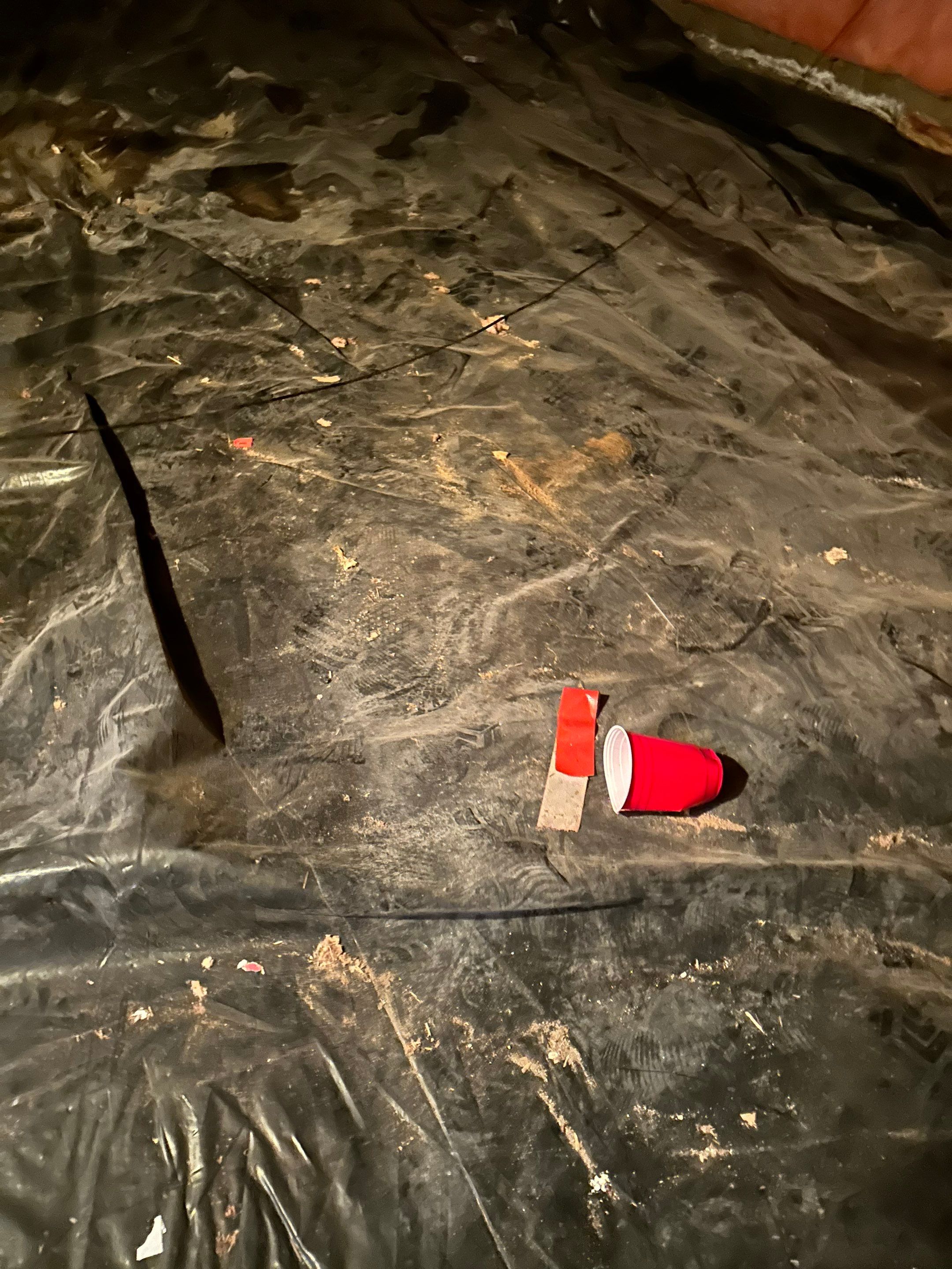 Mold Removal in Brighton, CO by Alpha Restoration 