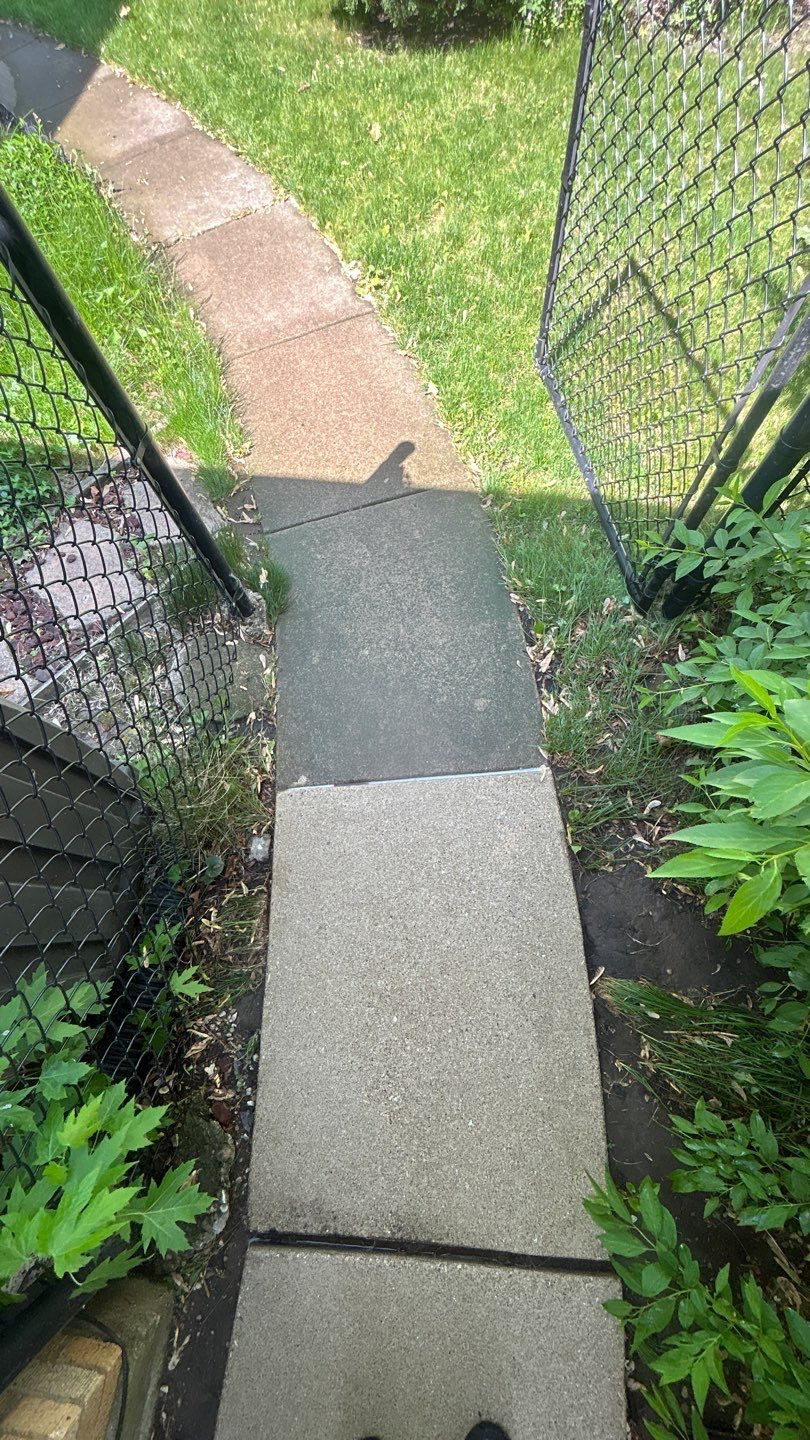 Mount Prospect, IL Driveway cleaning by Northern Power Washing LLC.