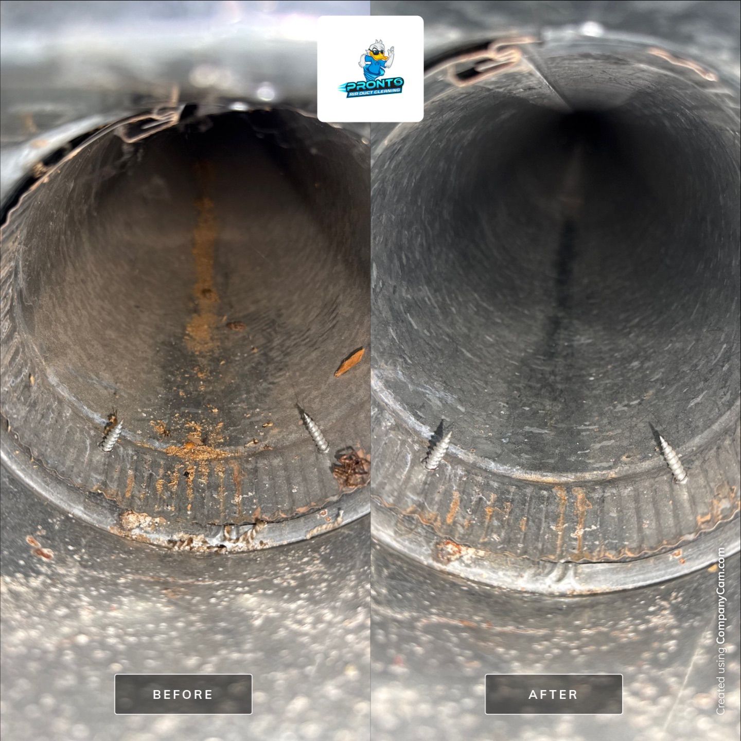 Comprehensive Air Duct Cleaning and System Maintenance in Gainesville by Pronto Air Duct Cleaning