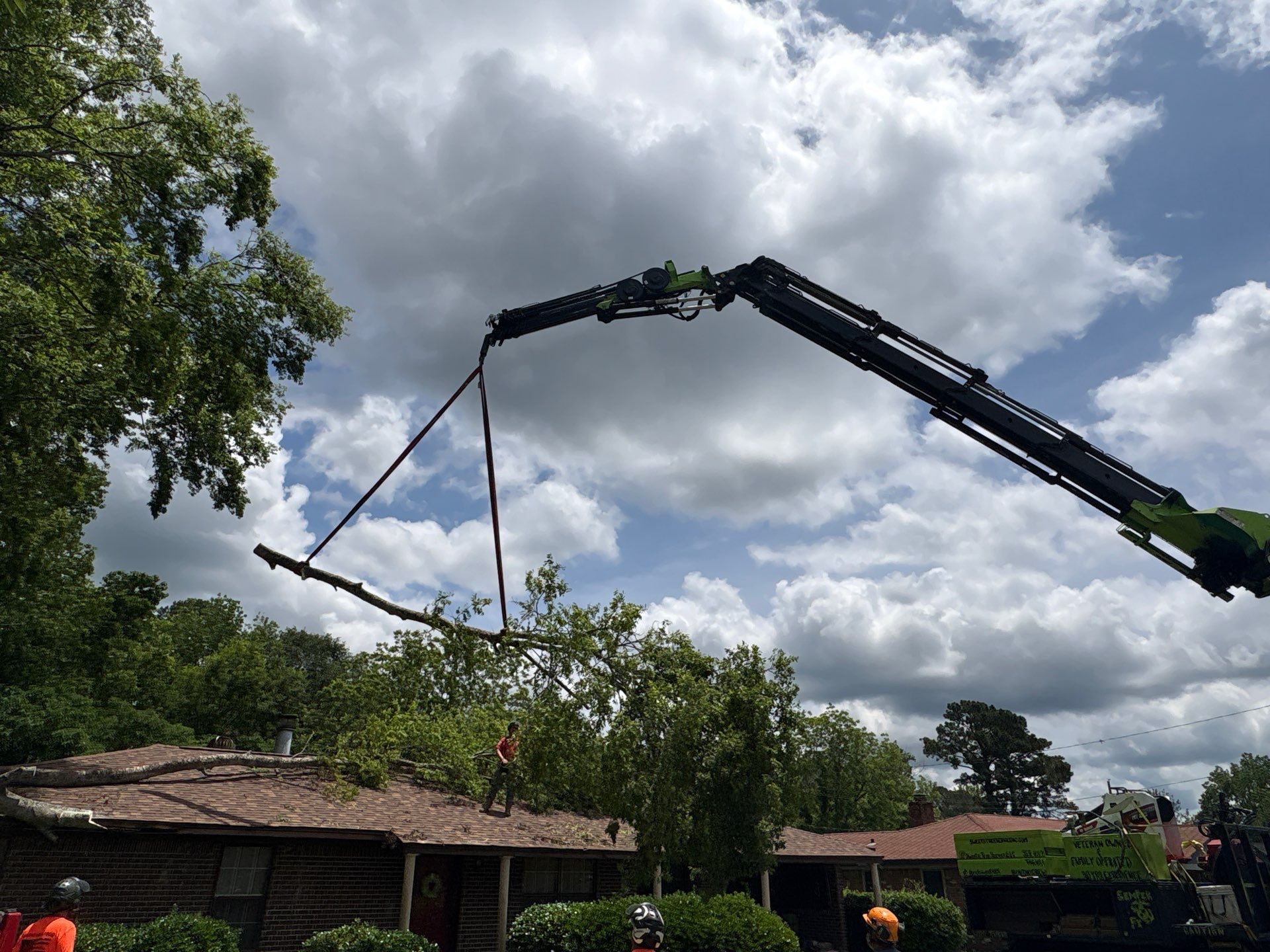 American Arbor Tree Service featured photo.
