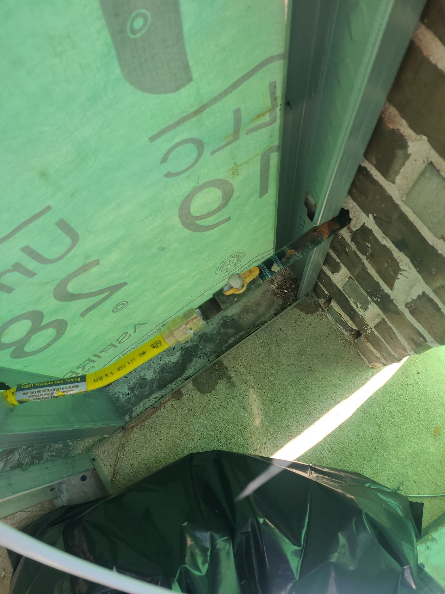 The Carter Family by SophAlx LLC