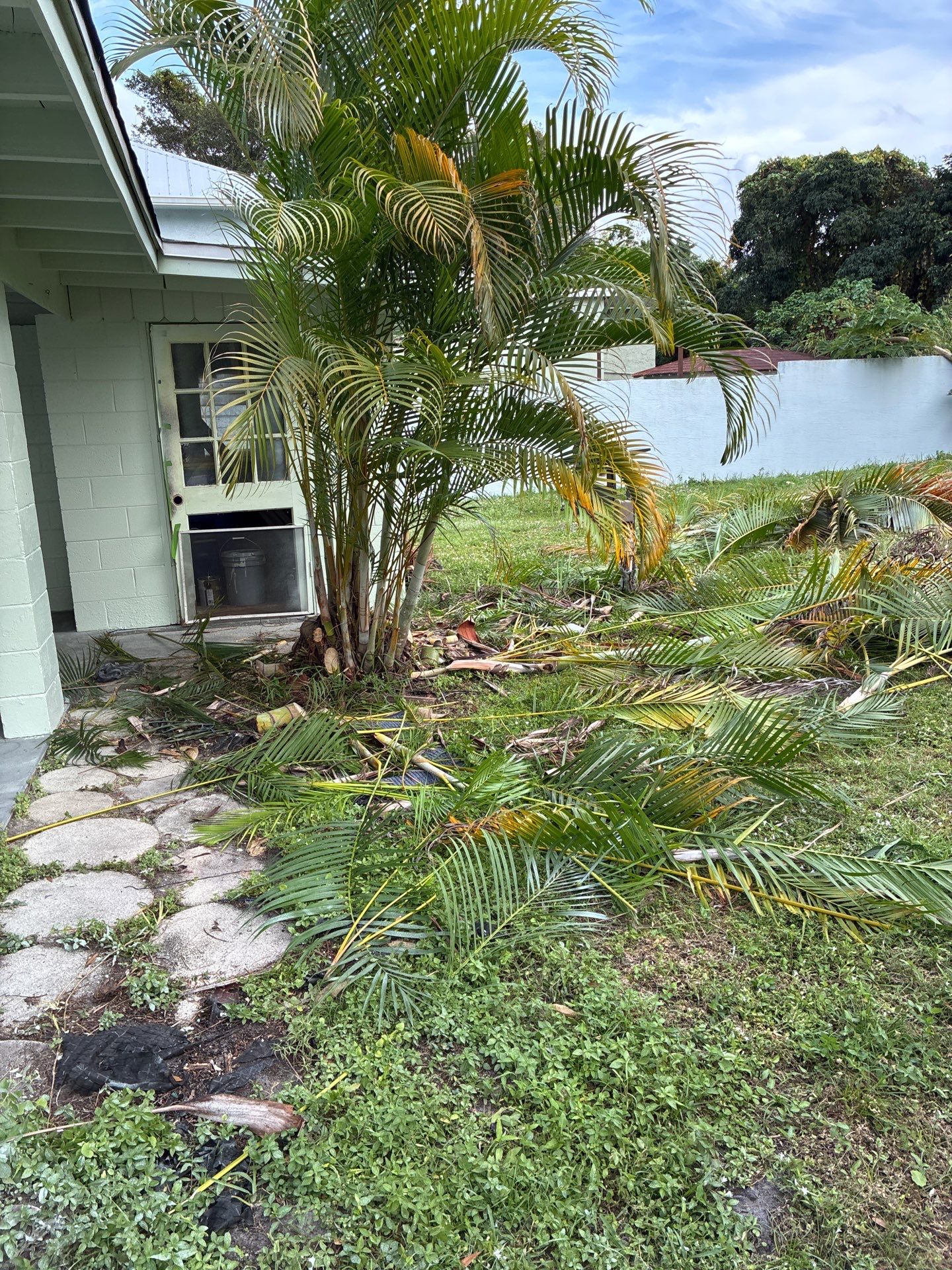 🏡 Pre-Sale Property Cleanup in Old Palm City, FL by Alpha Zeta Enterprises Inc