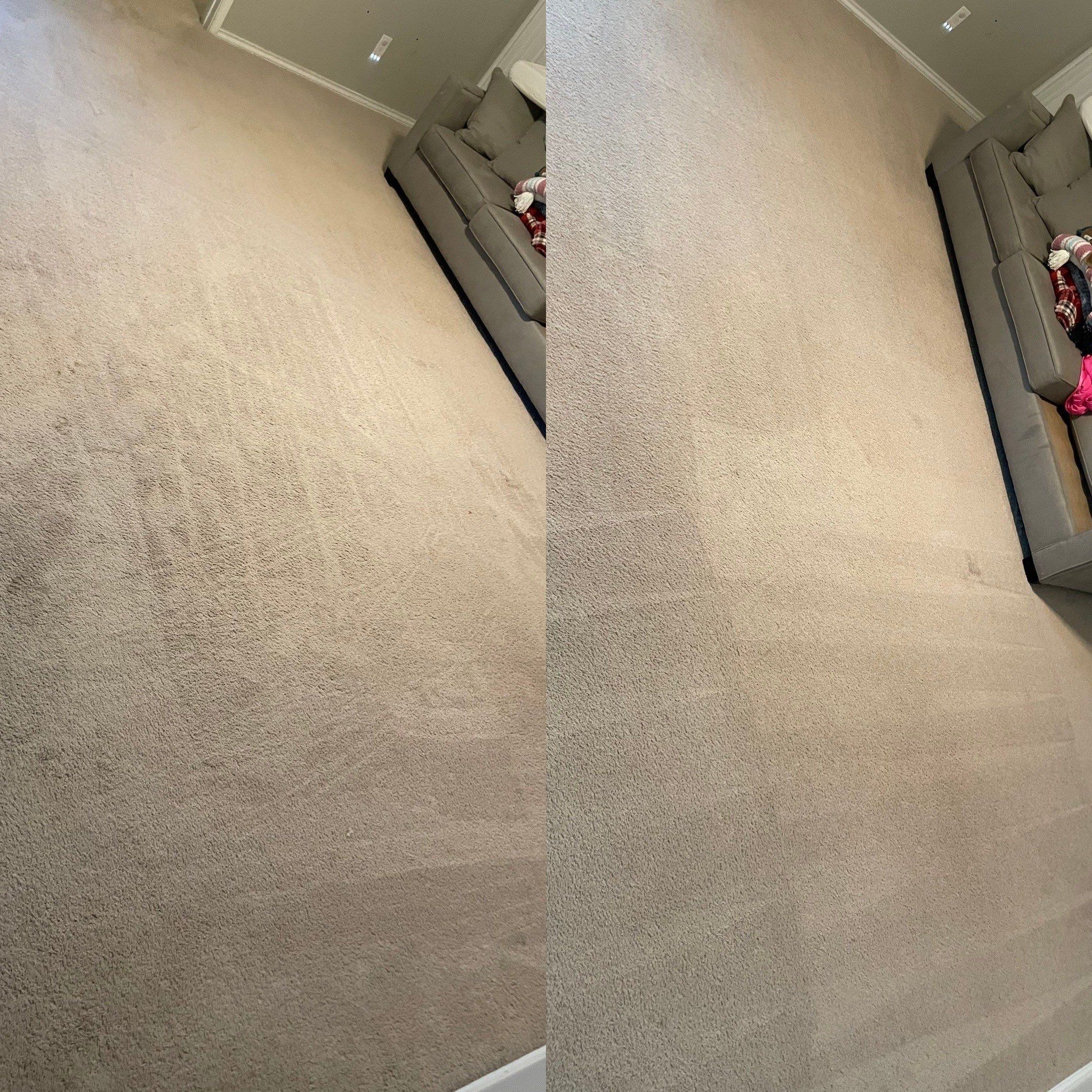 carpet cleaning service removing stains and dirt from light-colored carpet restoring its appearance and freshness