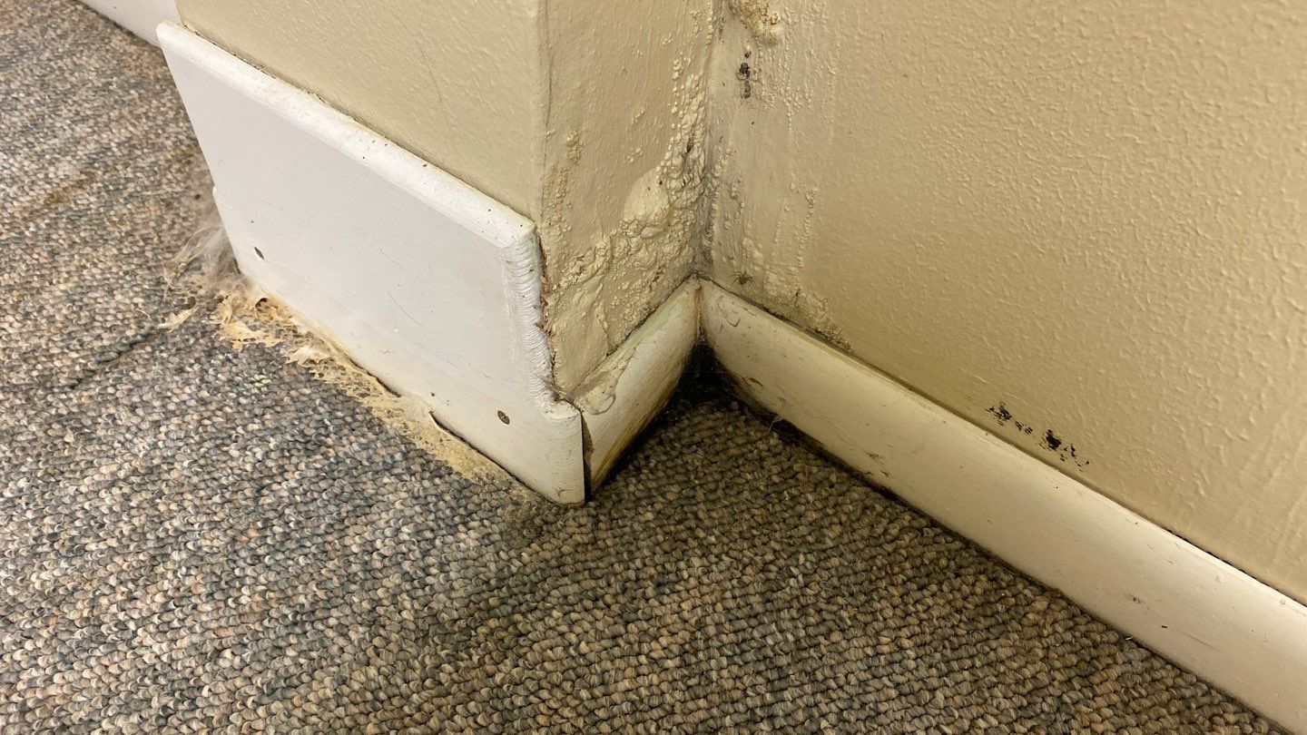 Water Damage  by Accountable Home Services