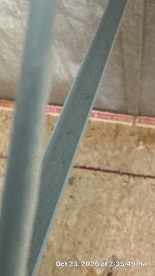 Black Mold Removal — Fort Myers, FL